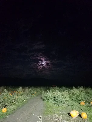 A Writing Log - v. 17