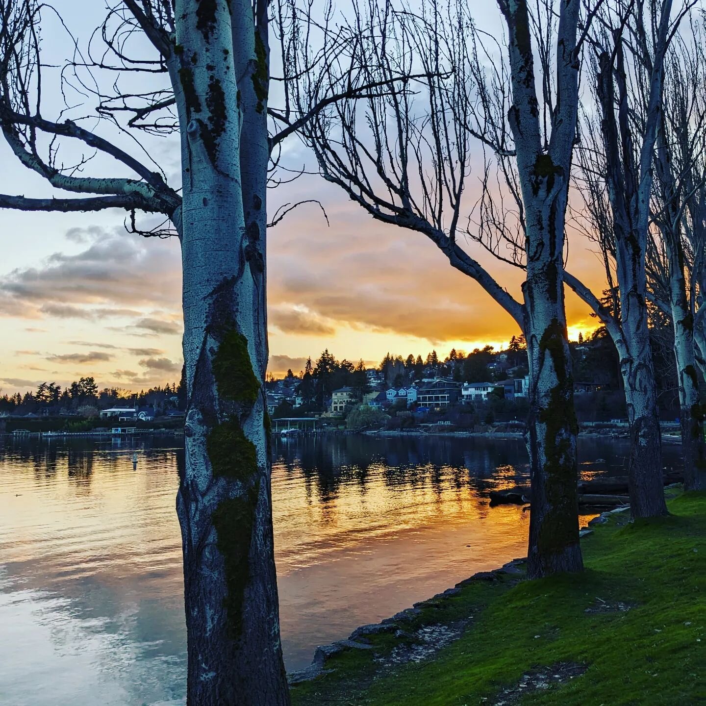 Sunset posting at Seward Park.