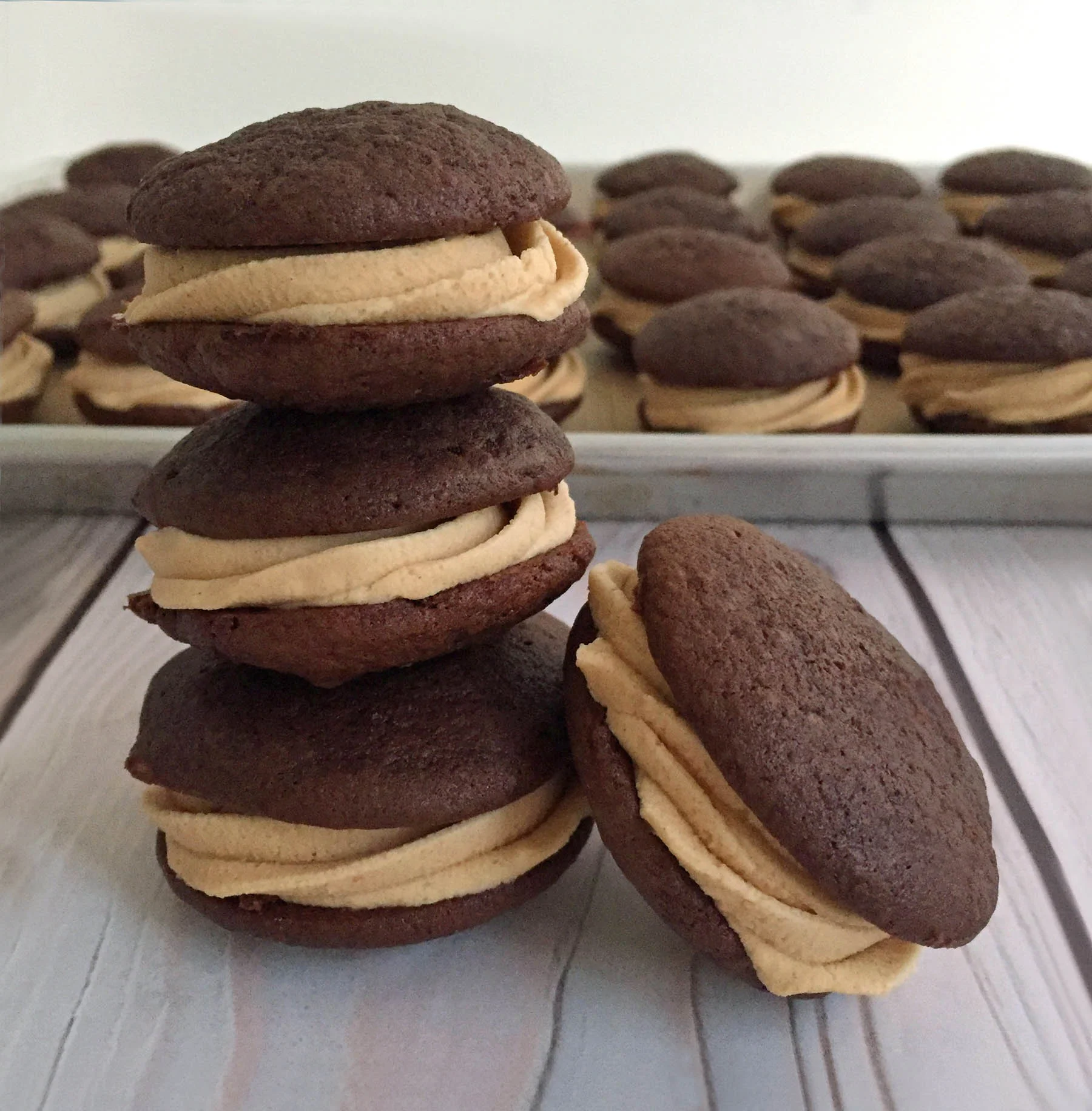 Chocolate Peanut Butter Whoopie Pies