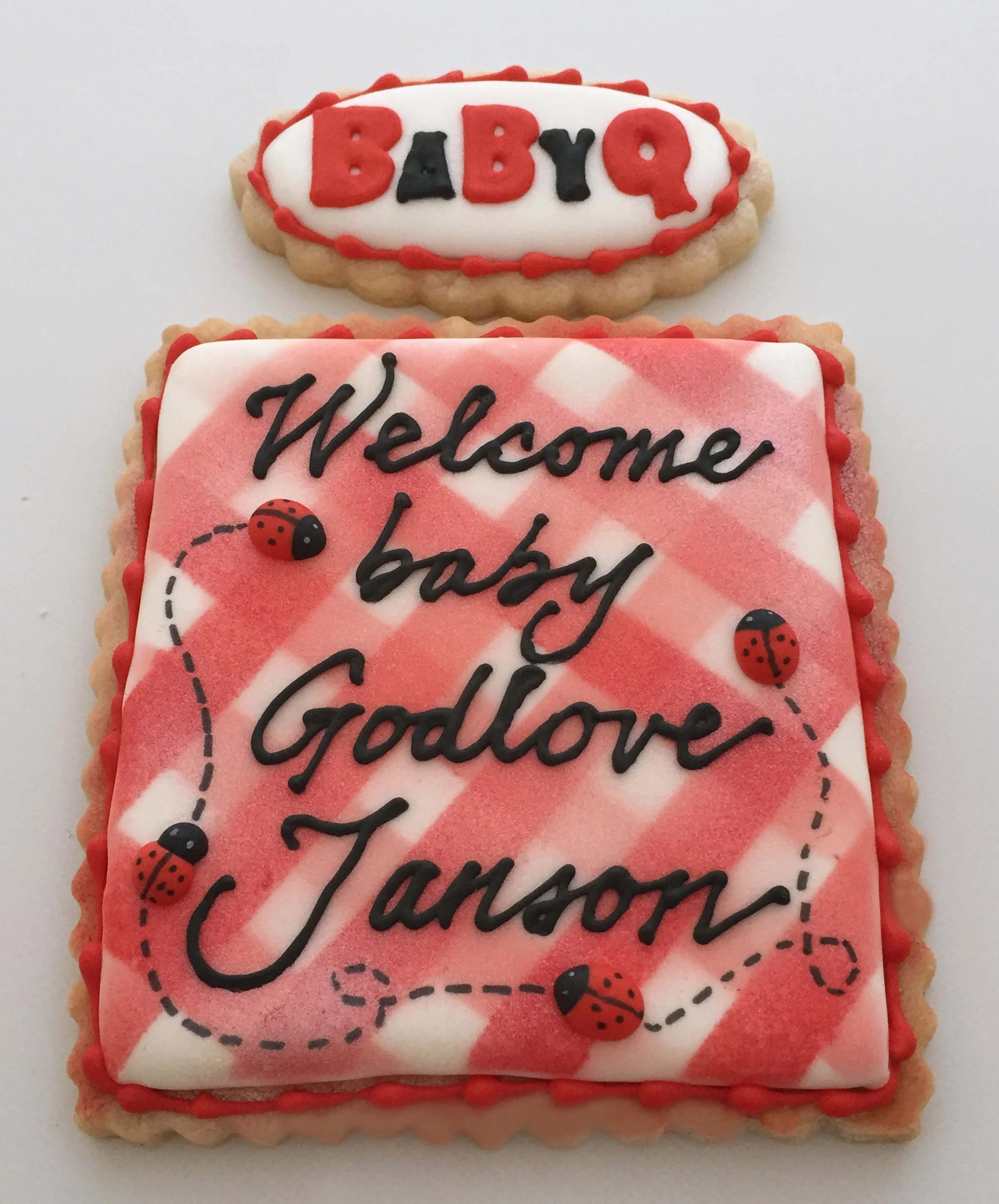 BaBy Q welcome baby plaque.jpg