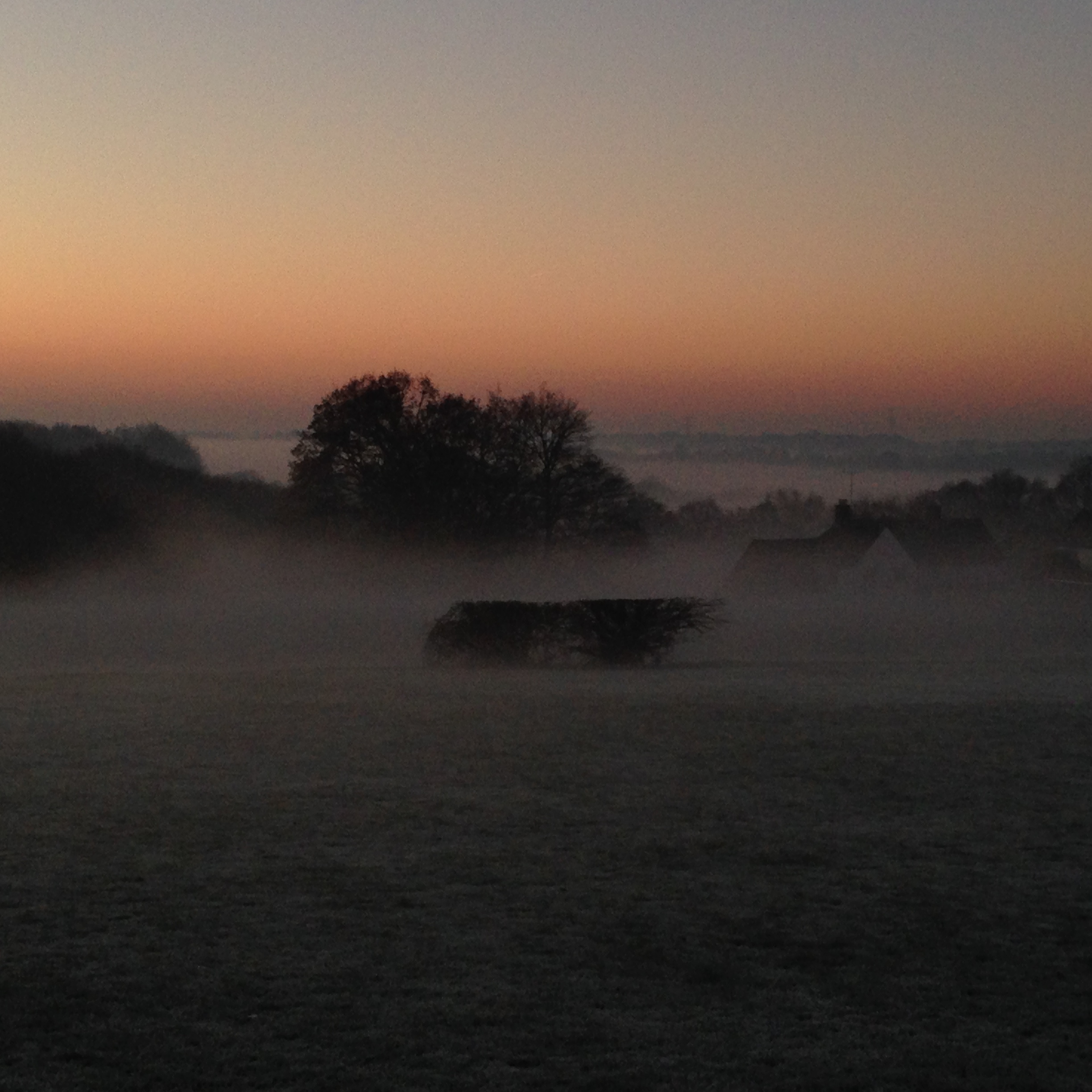 Mist, Dawn
