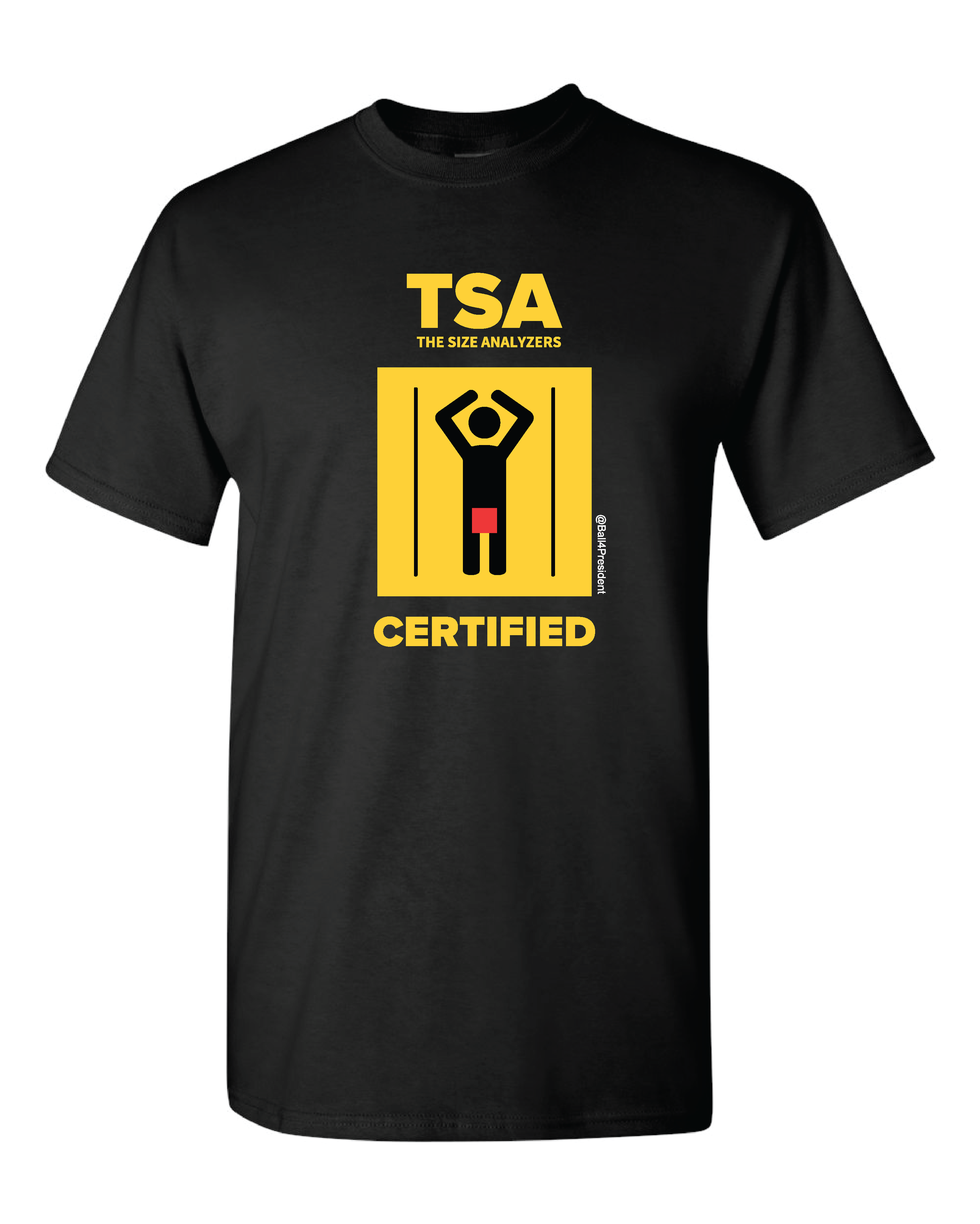 TSA COMPS WEB.png