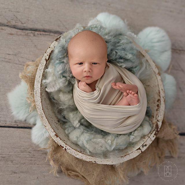&ldquo;Is it my milk time yet?&rdquo; Sometimes I keep wondering what are they thinking about ?😉_____________________________________________________________To book your newborn session please visit www.putneybabyphotography.com/ .
.
.
.
.
.
.
.
.
.