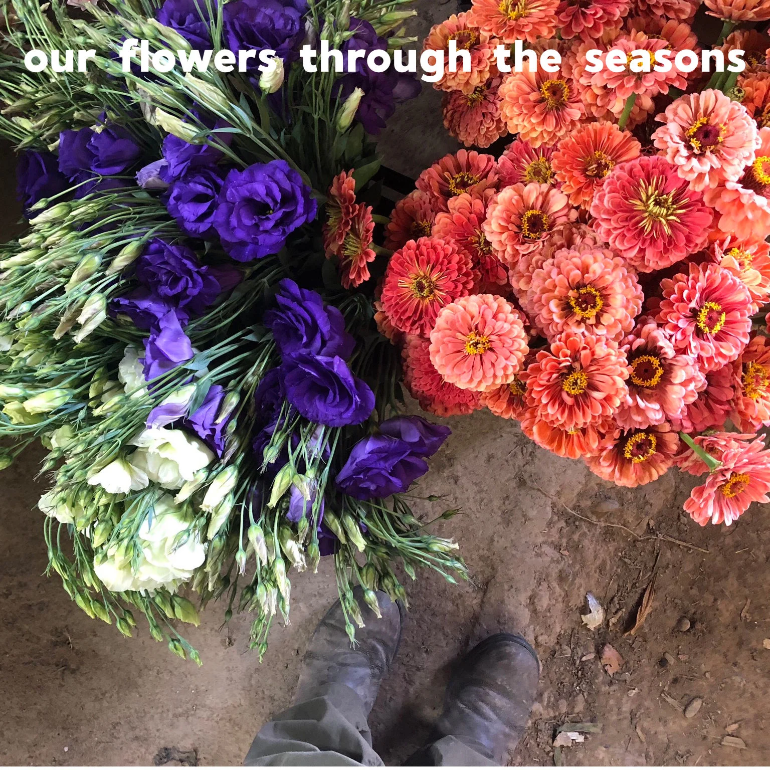 2019 flowers through the seasons.jpg