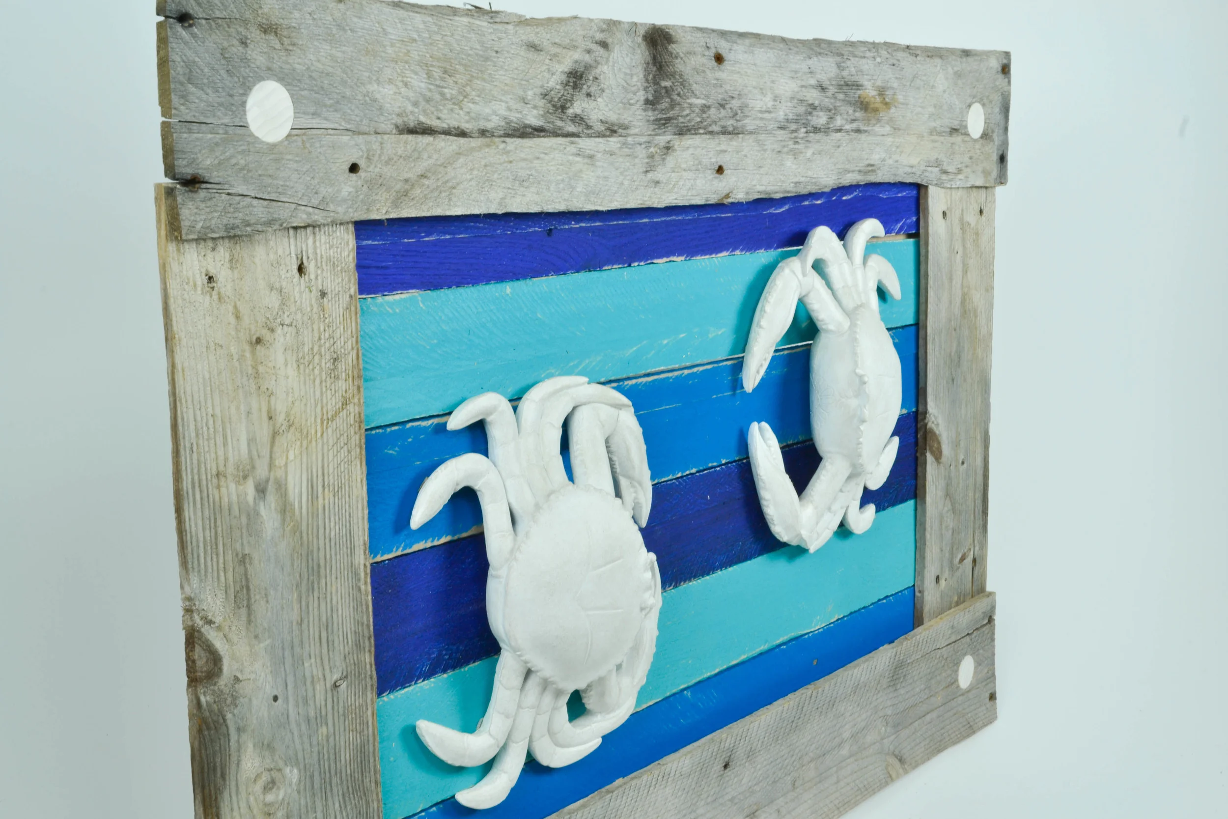 beach_crab_frame (2 of 4).jpg