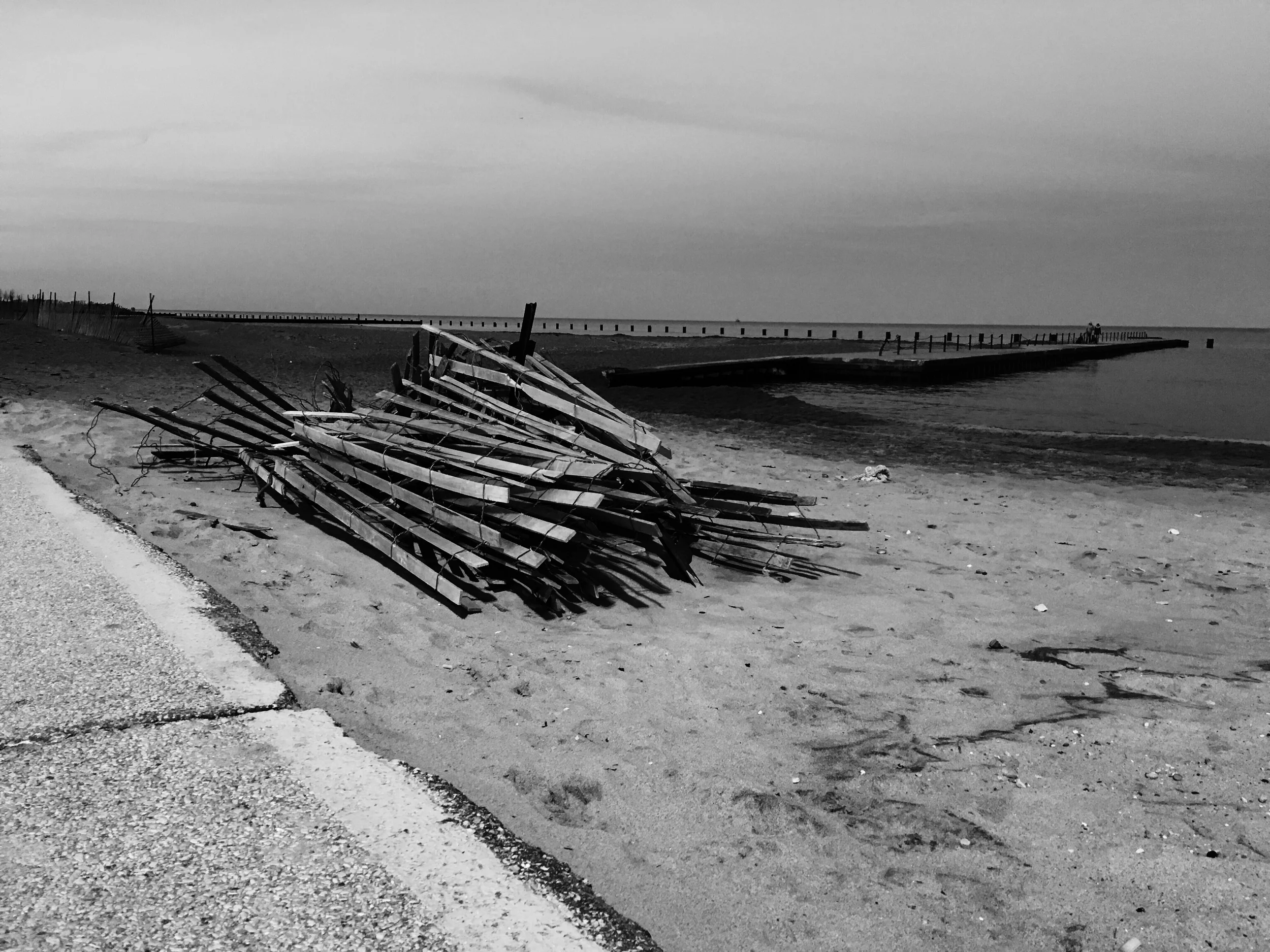 Gray Lake Shore