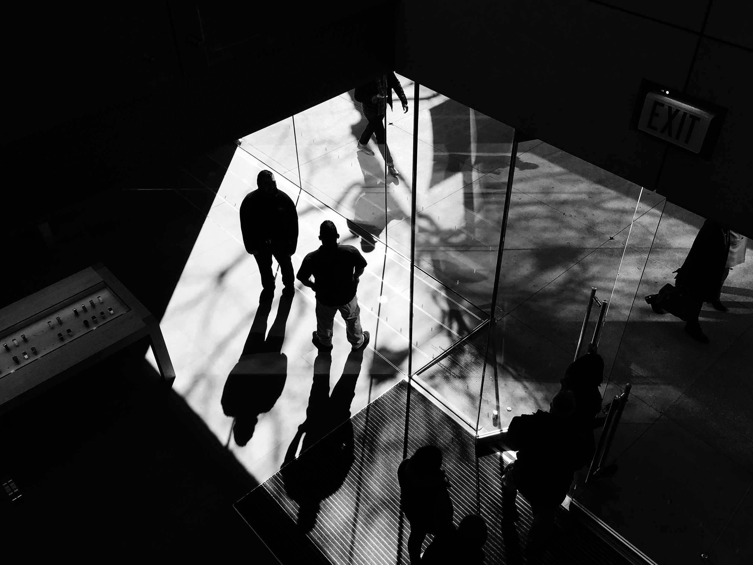 Shadow and Light