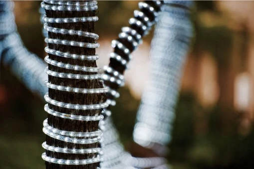Lights and Bokeh
