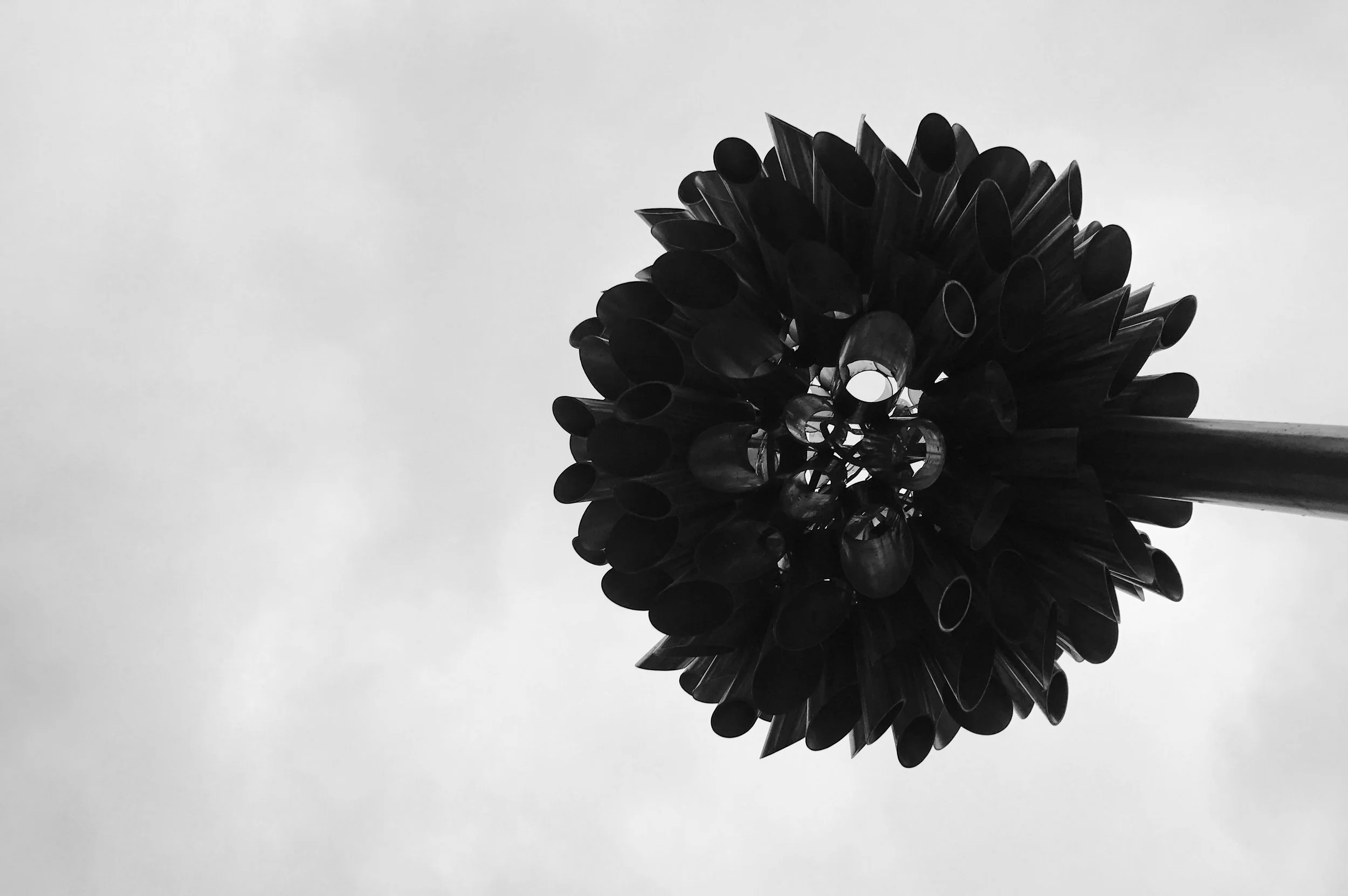 Amorphous – Day 10
