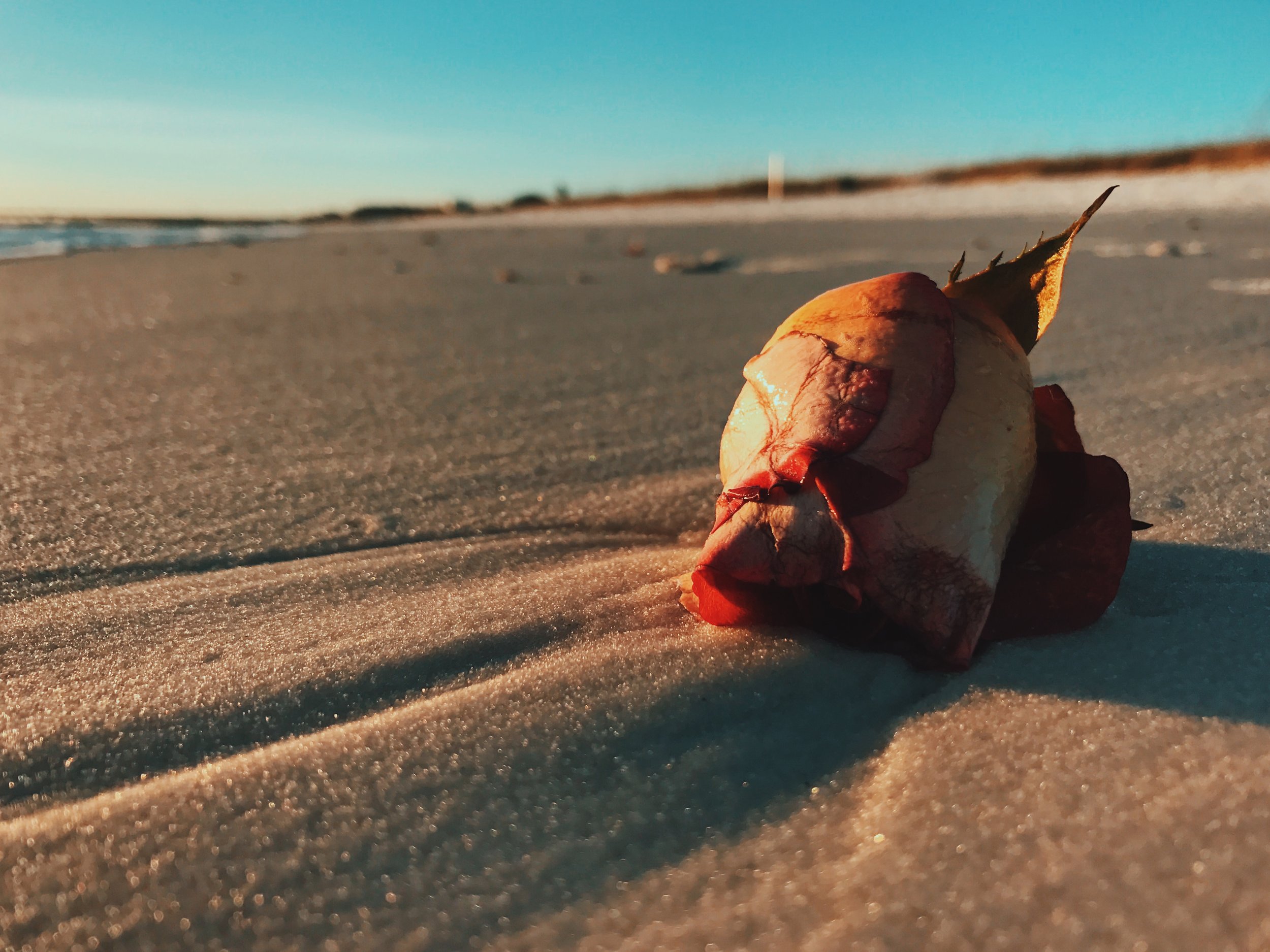 Processed with VSCO with c9 preset