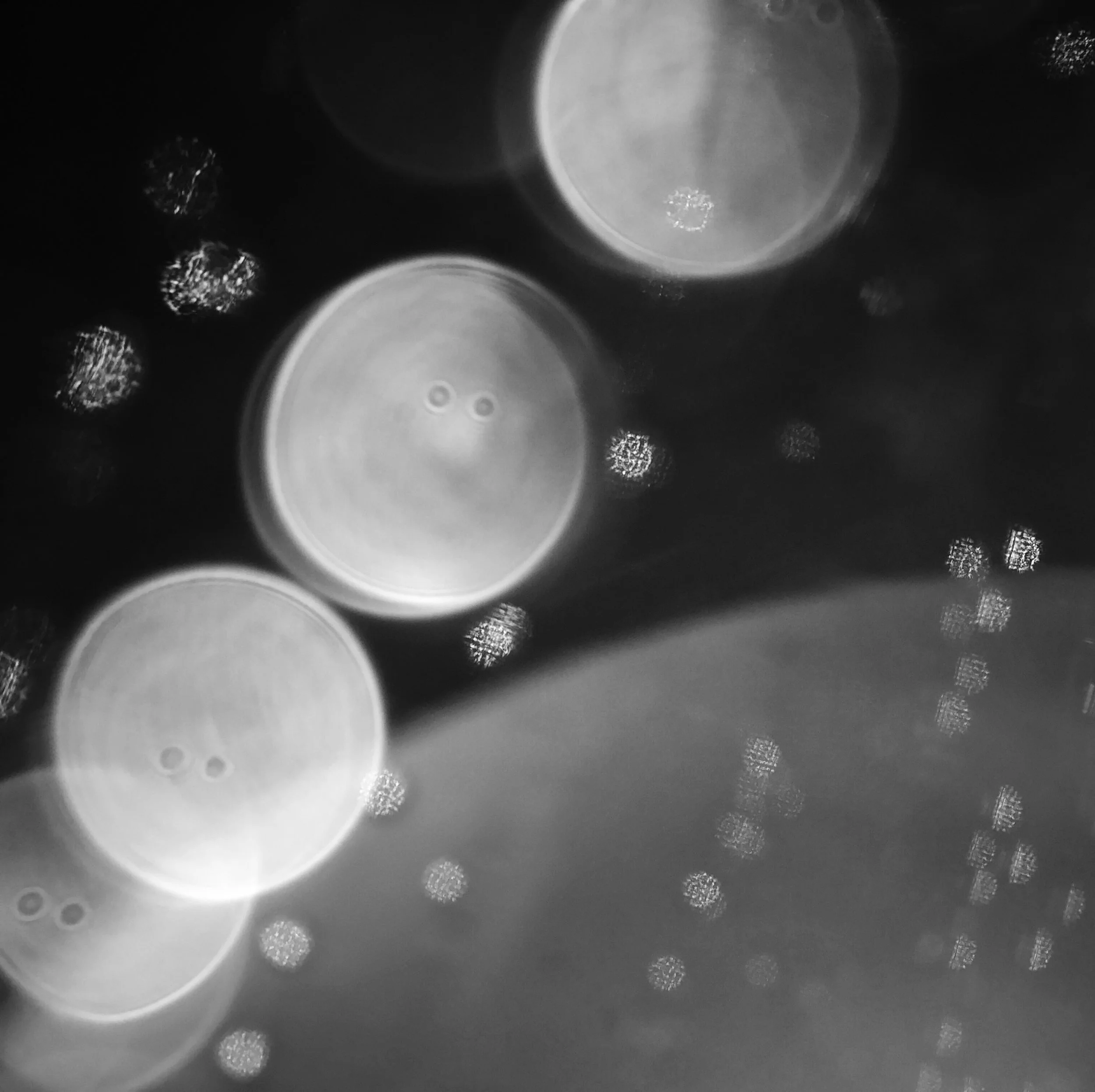 Celestial – Day 102