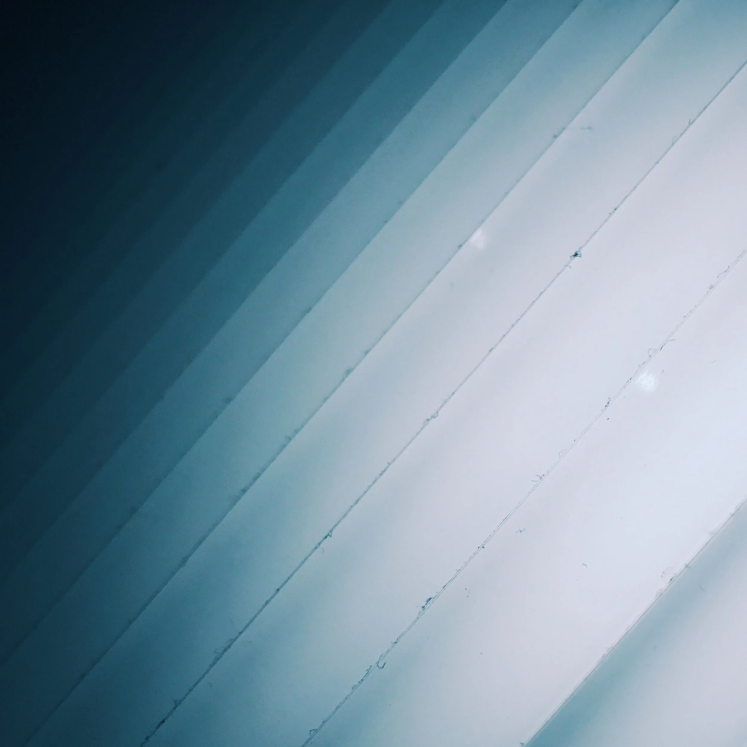 Blue and White – Day 115