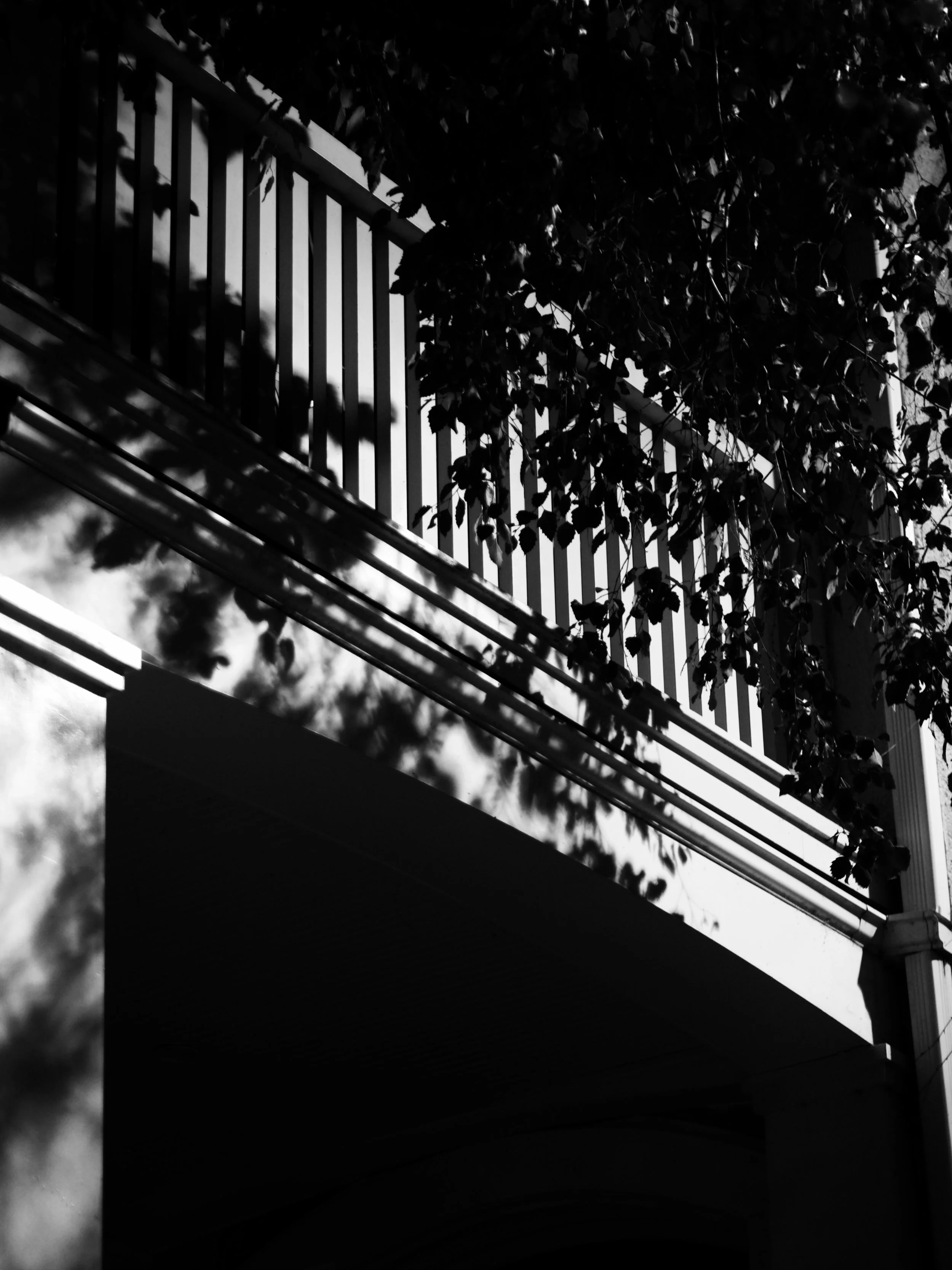 Veranda – Night 237