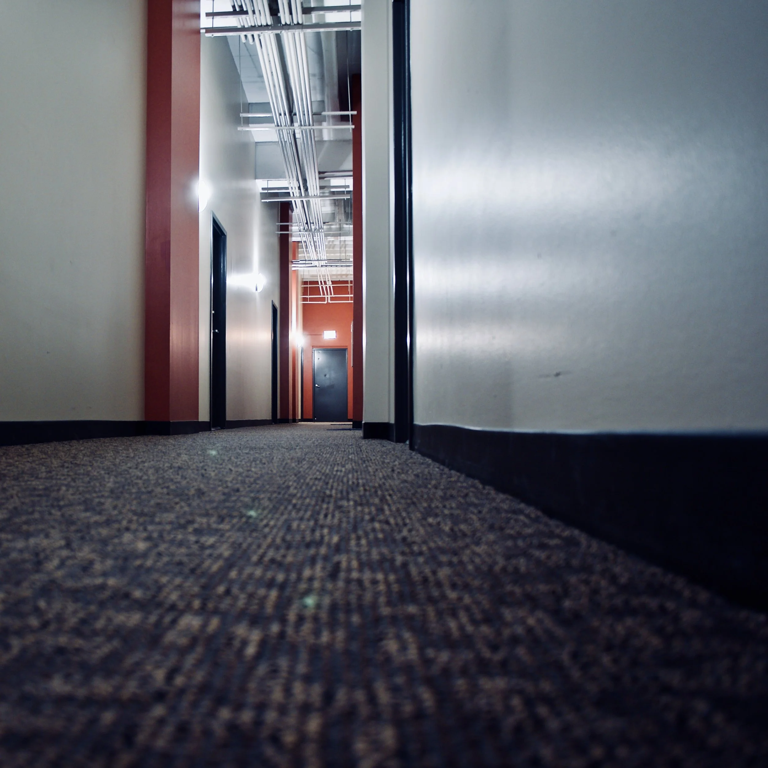 Hallway – Day 276