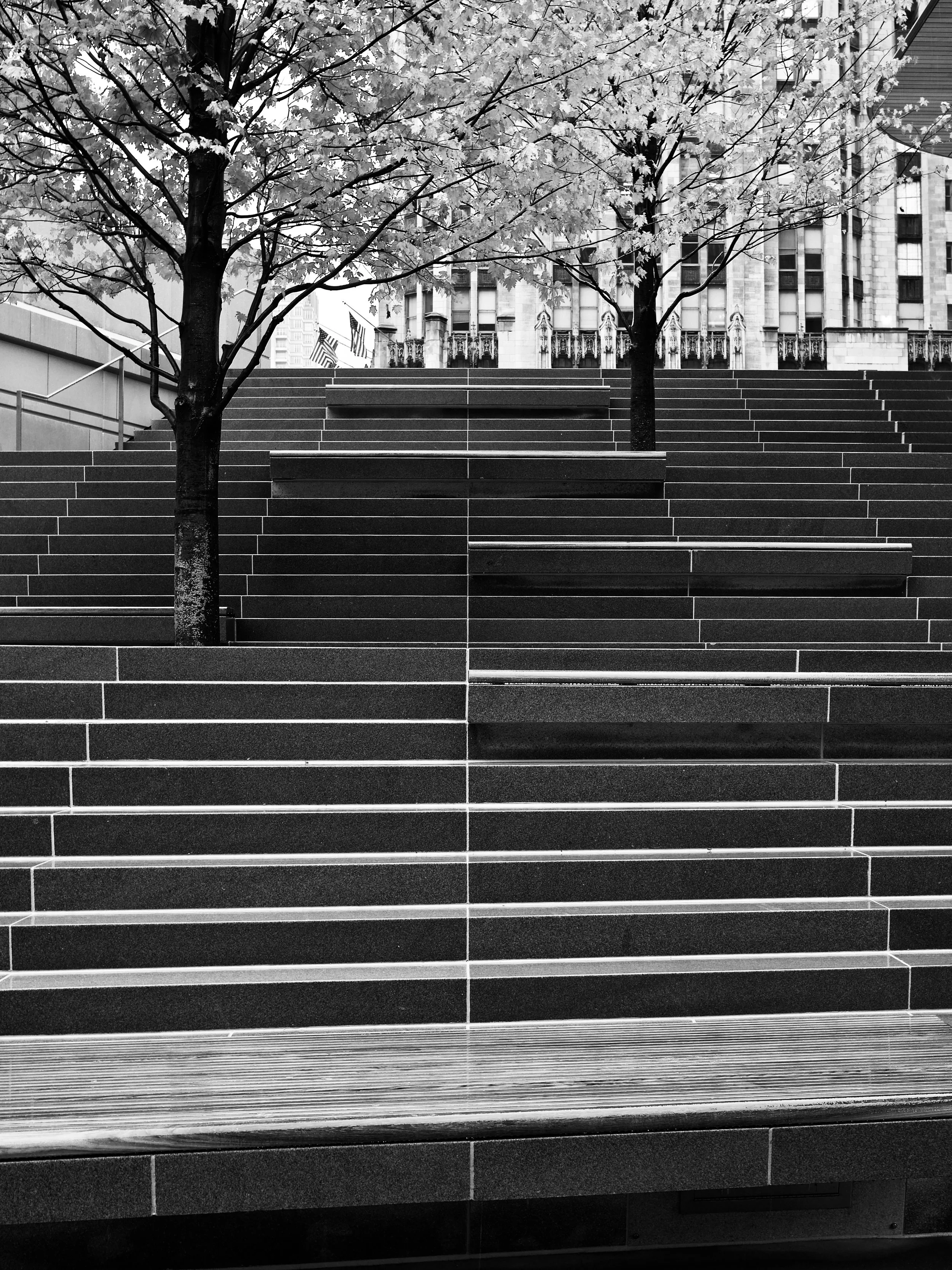Apple Michigan Avenue Plaza – Day 296