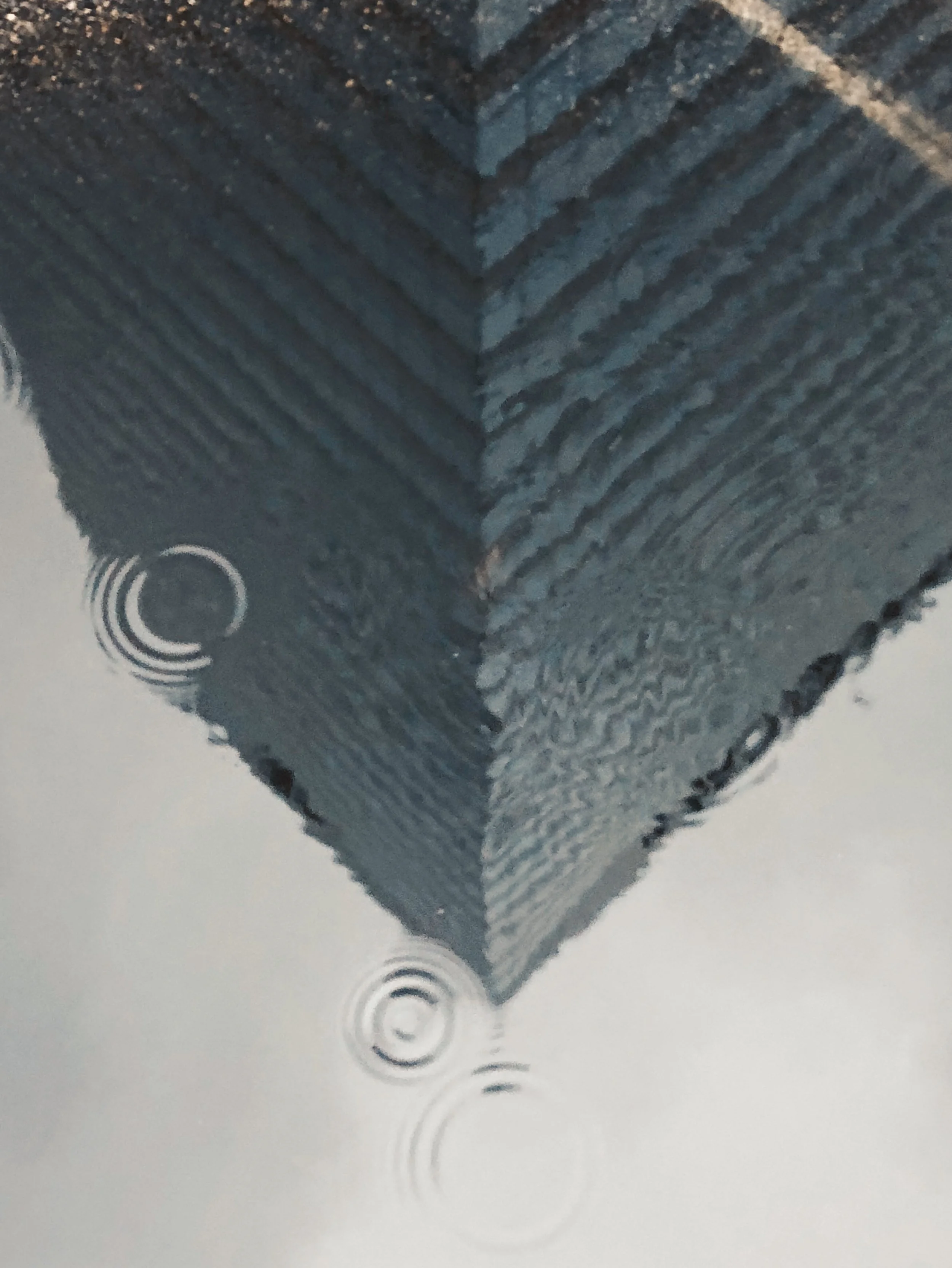 Droplets – Day 316