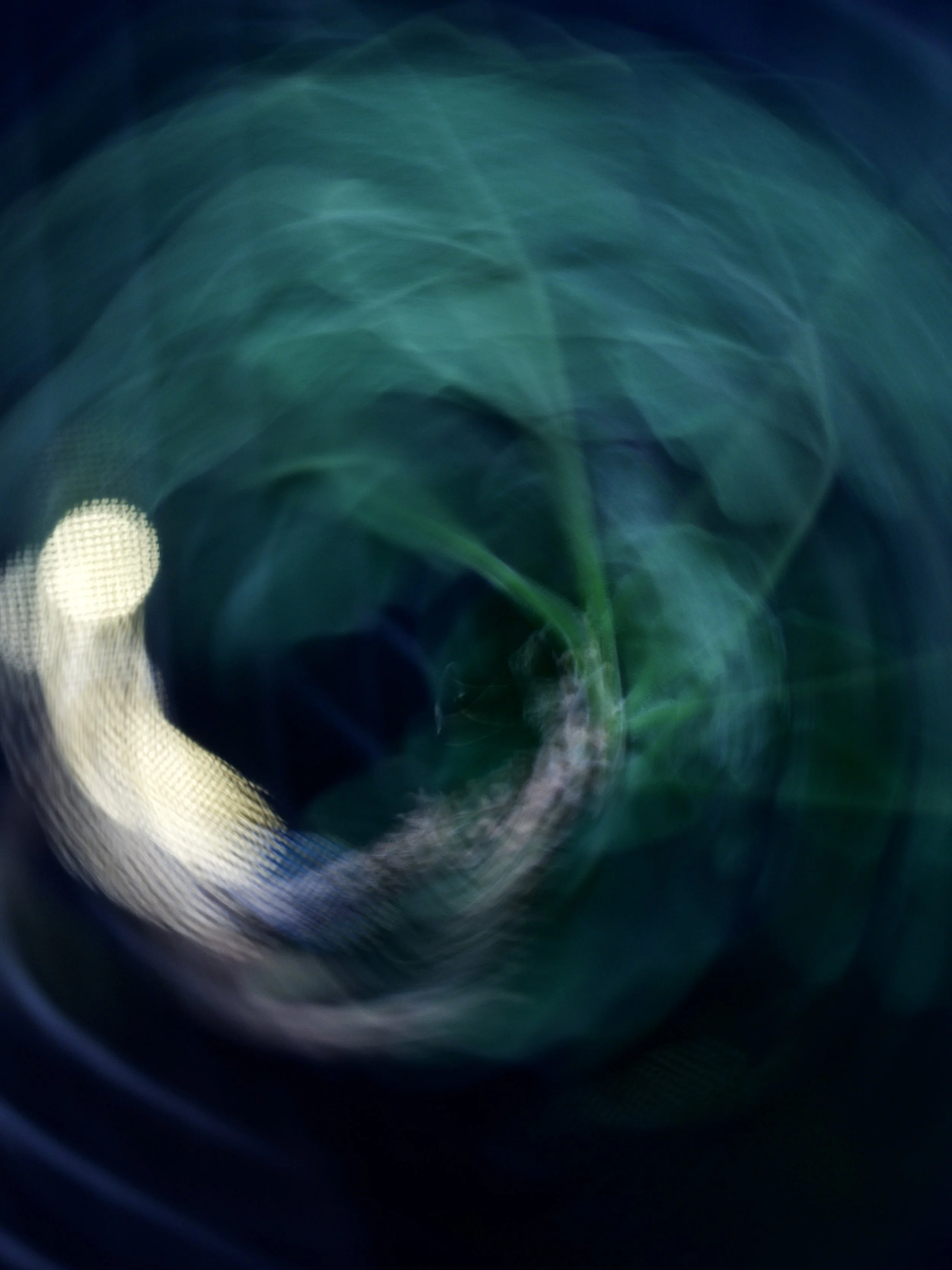 Swirl – Day 317