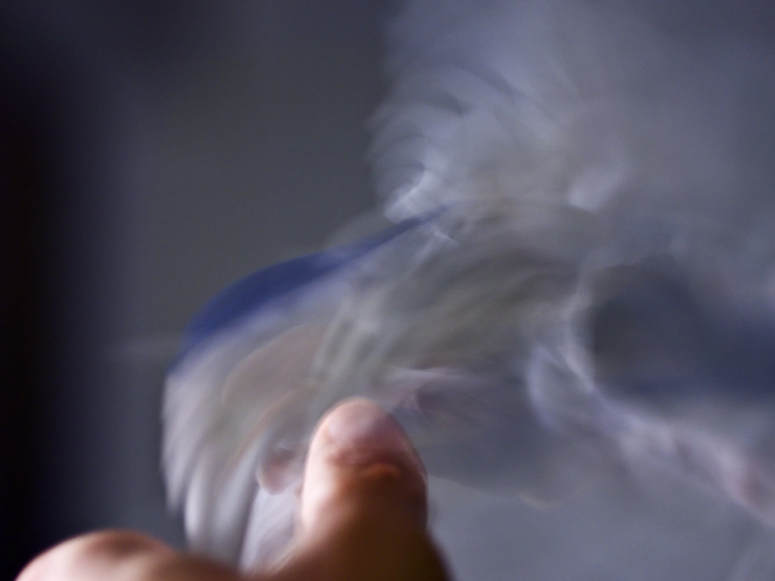 Smoke – Day 318