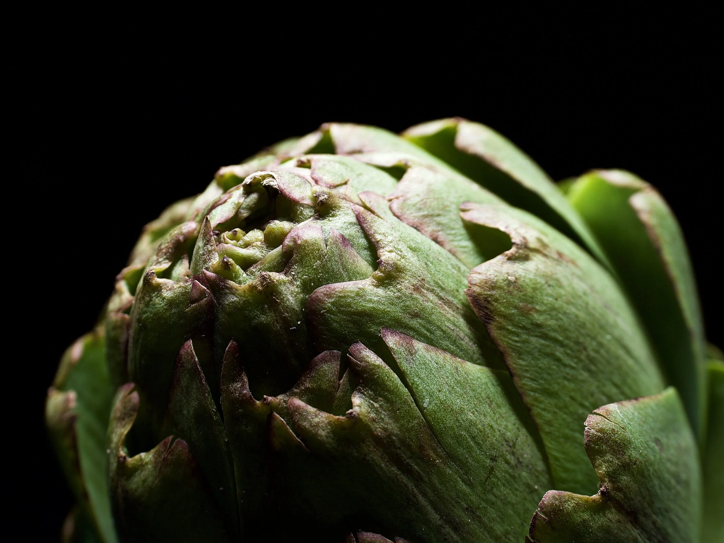 Artichoke