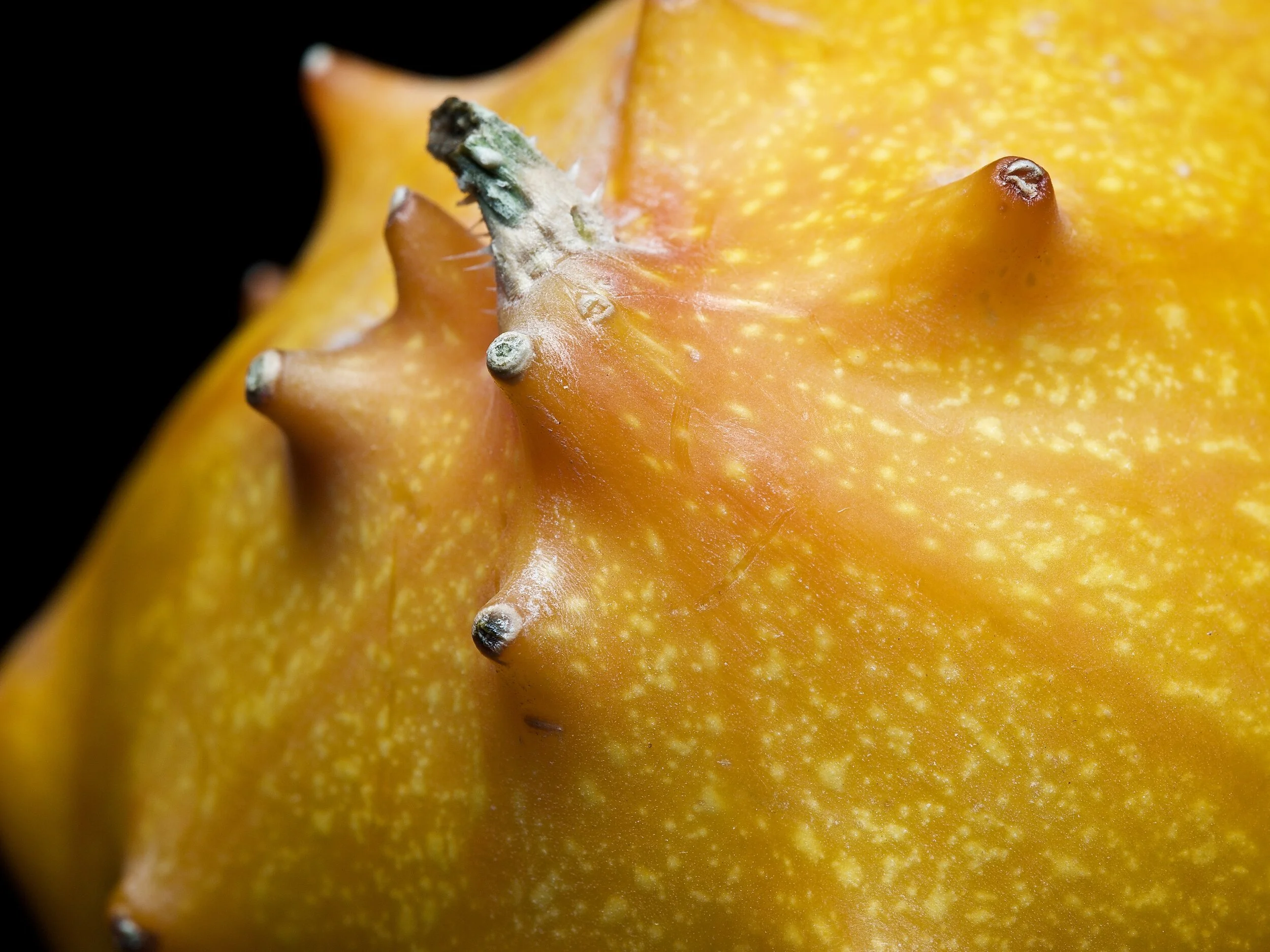 Kiwano Melon