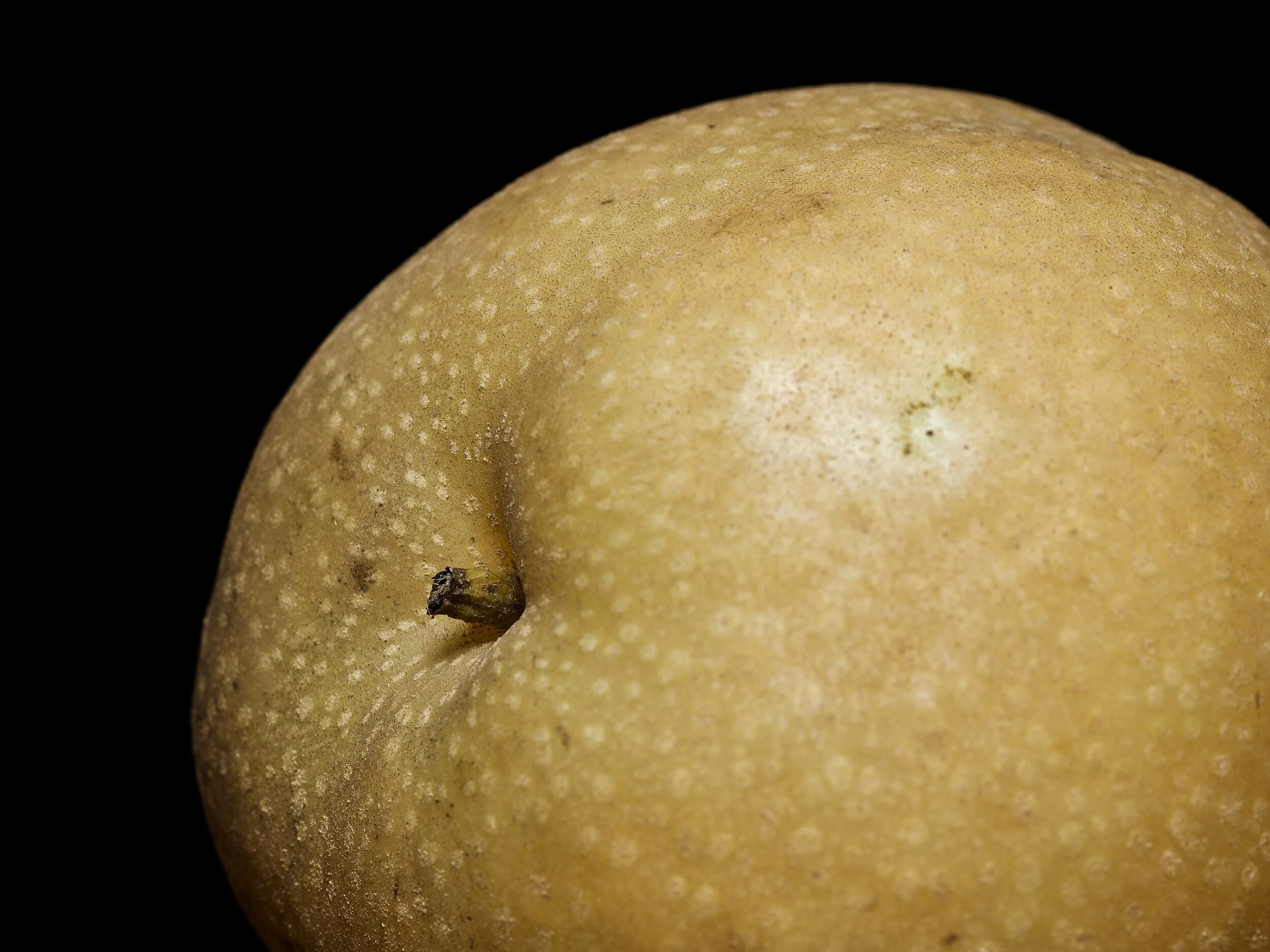 Asian Pear