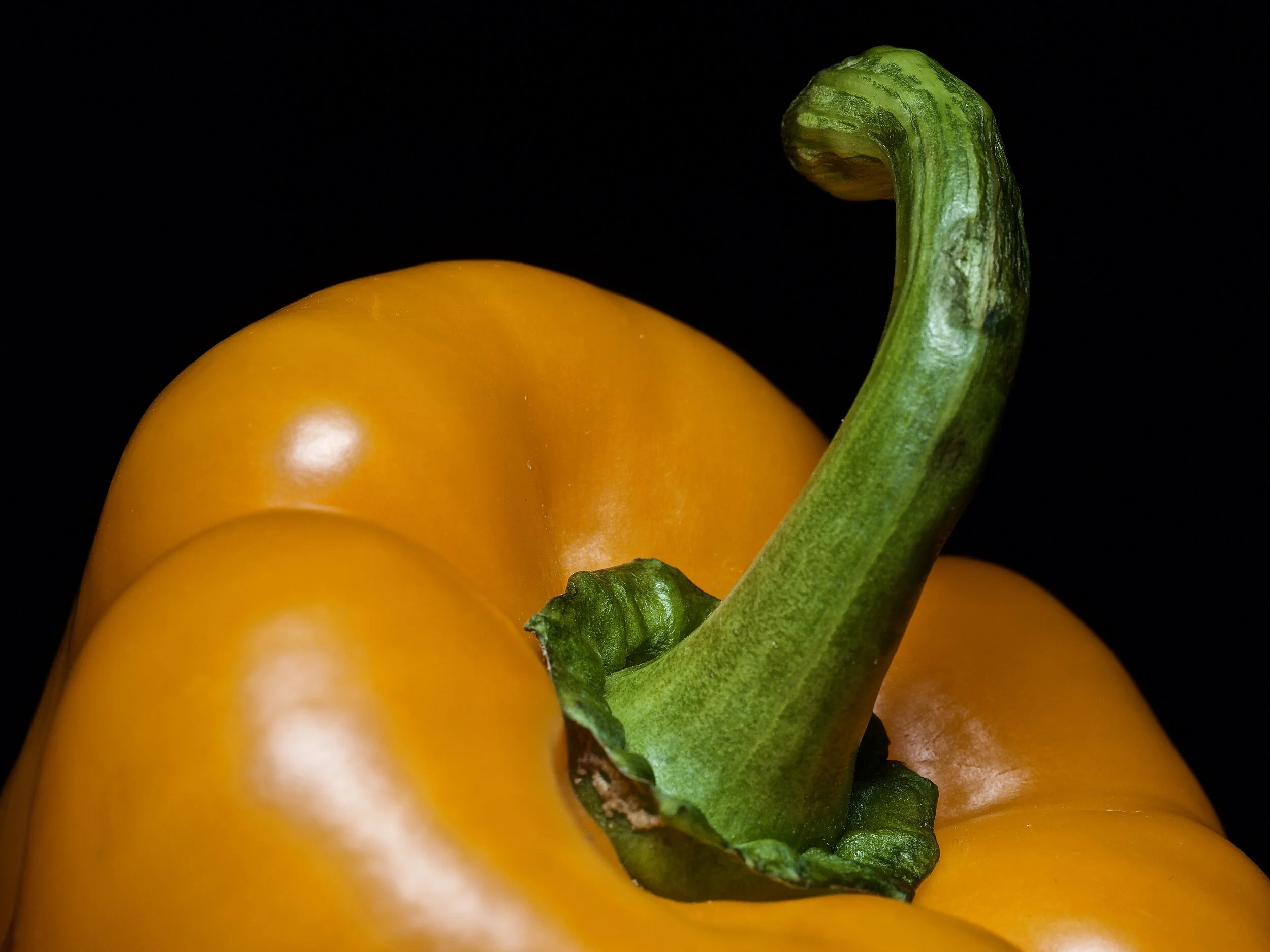 Bell Pepper