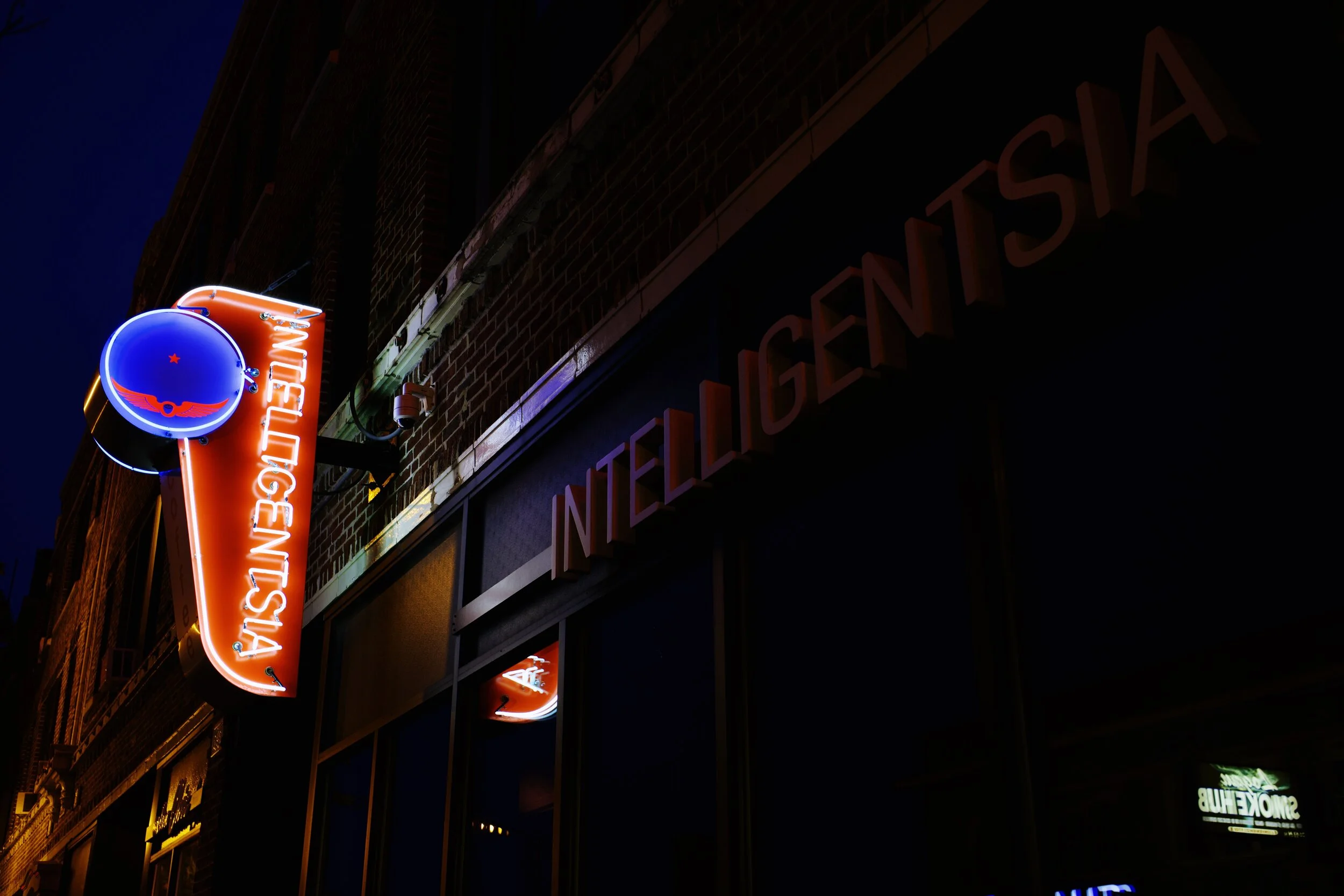 Intelligentsia