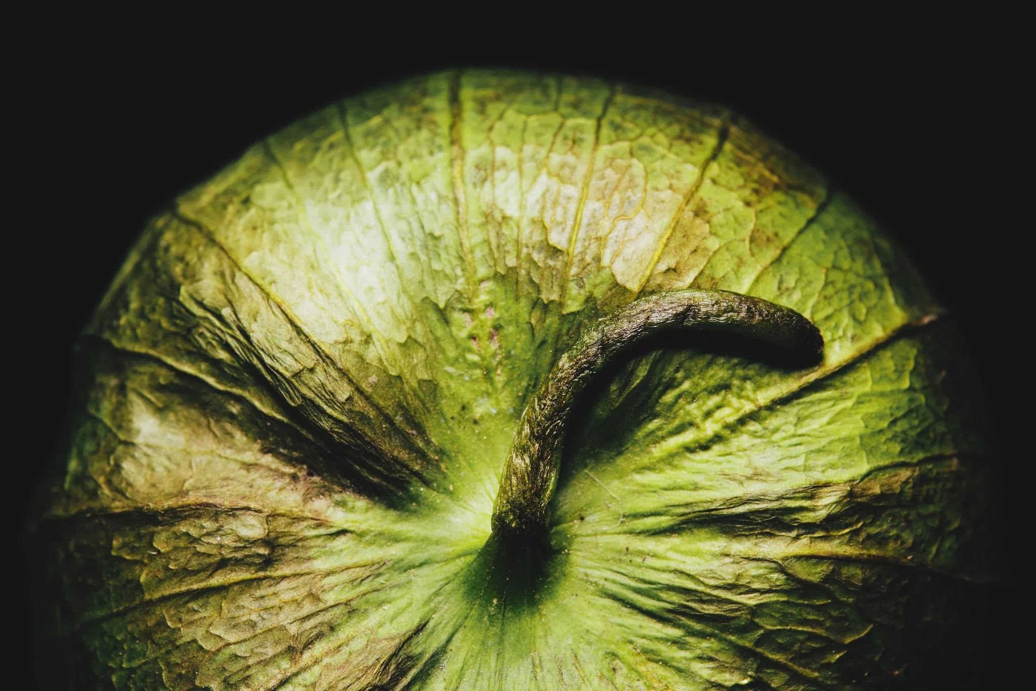 Tomatillo