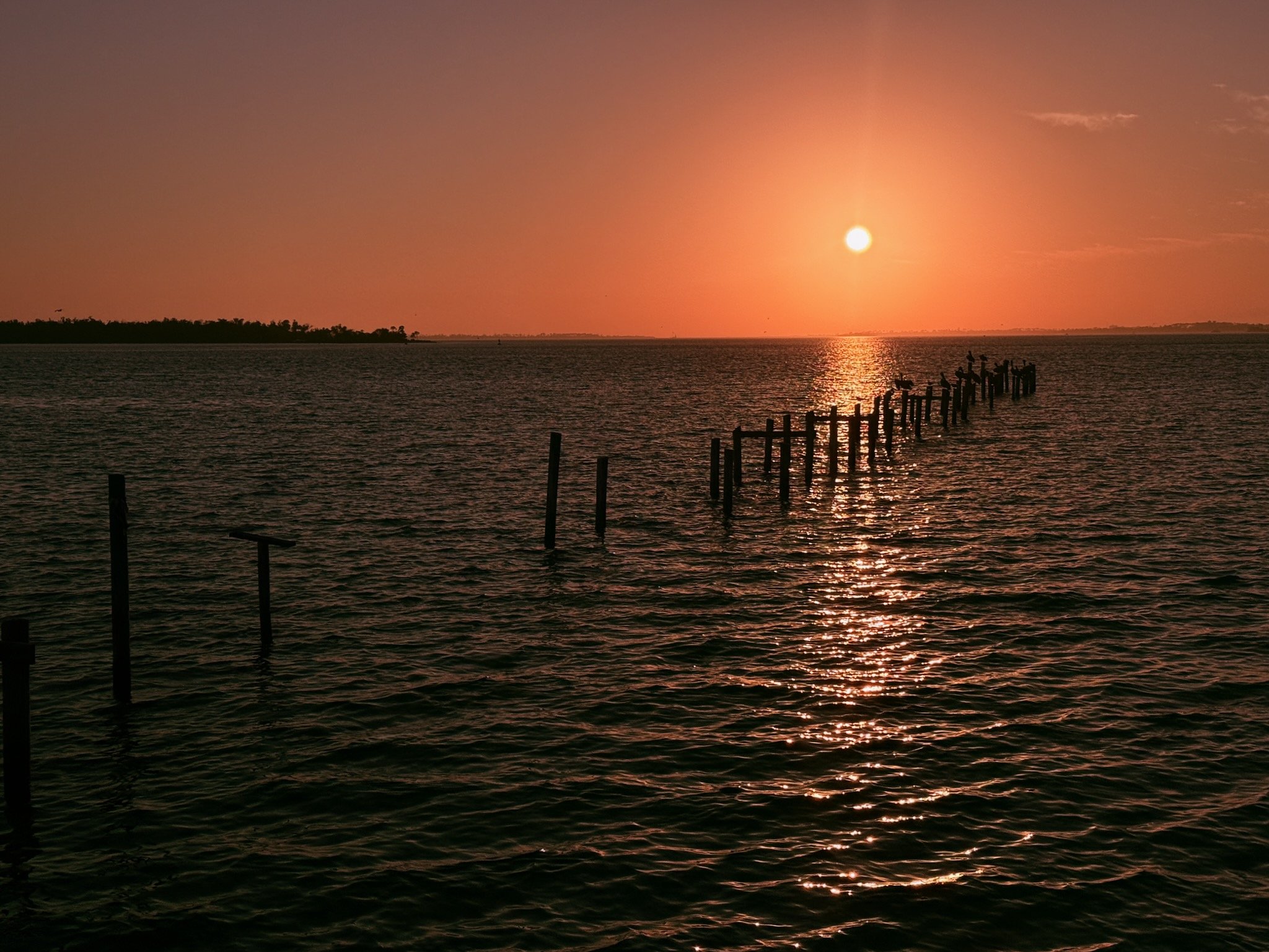 2025_iPhonePhotowalk - 2.jpeg