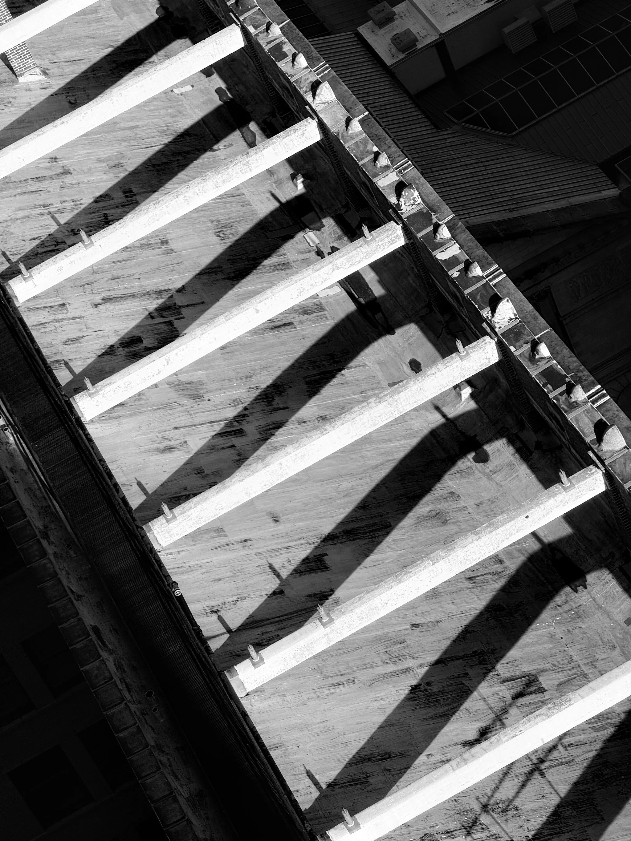 2025_iPhonePhotowalk - 11.jpeg