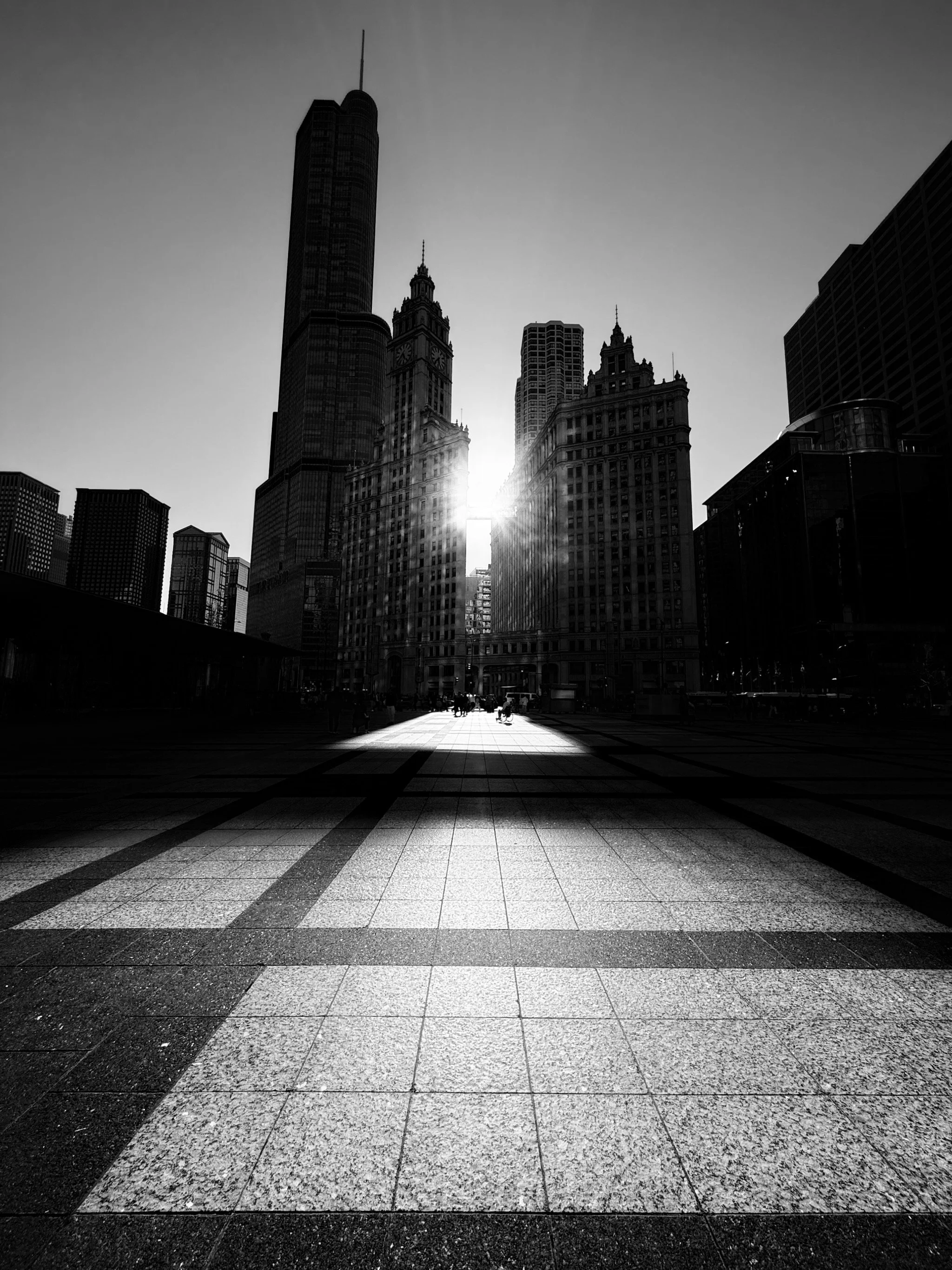 2025_iPhonePhotowalk - 13.jpeg