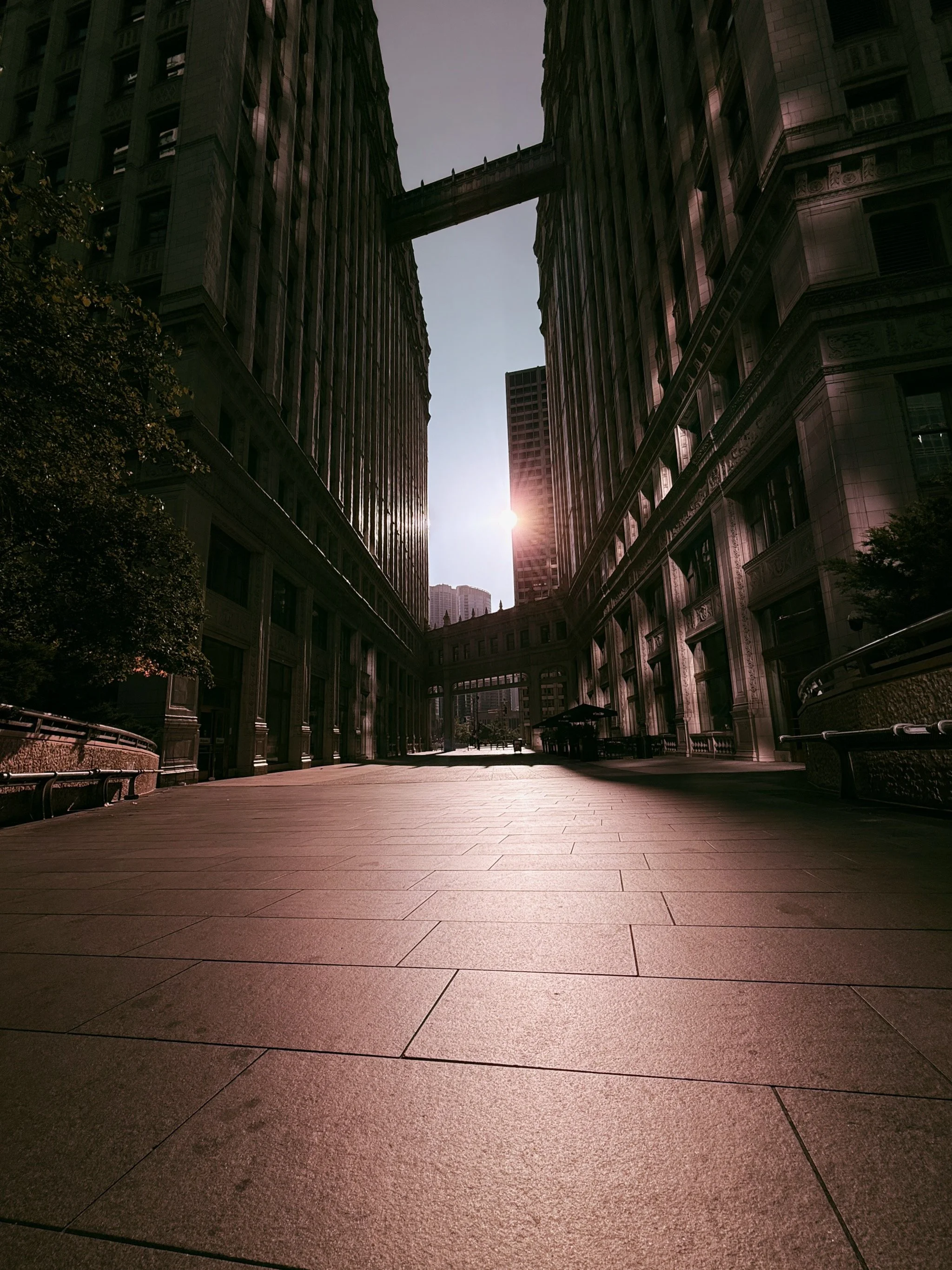 2025_iPhonePhotowalk - 22.jpeg