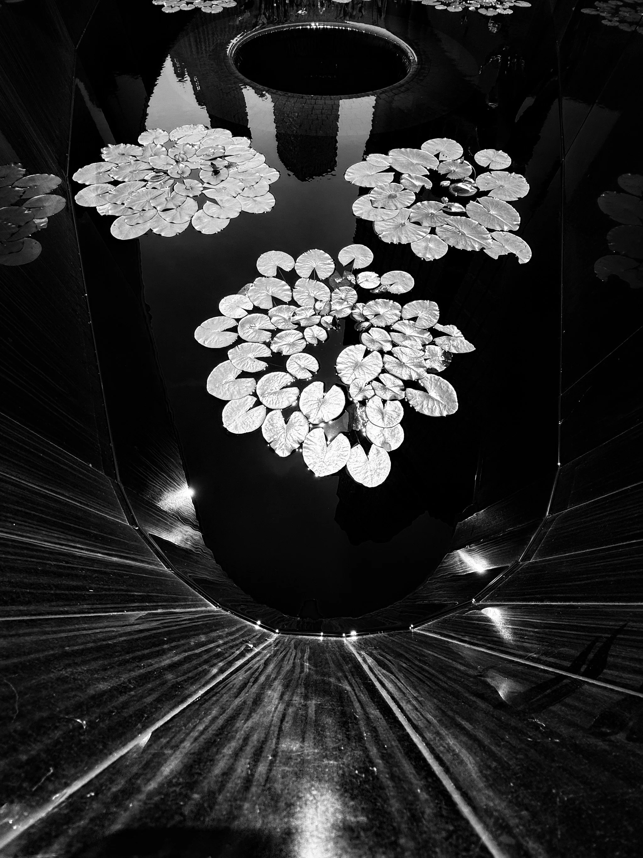 2025_iPhonePhotowalk - 33.jpeg