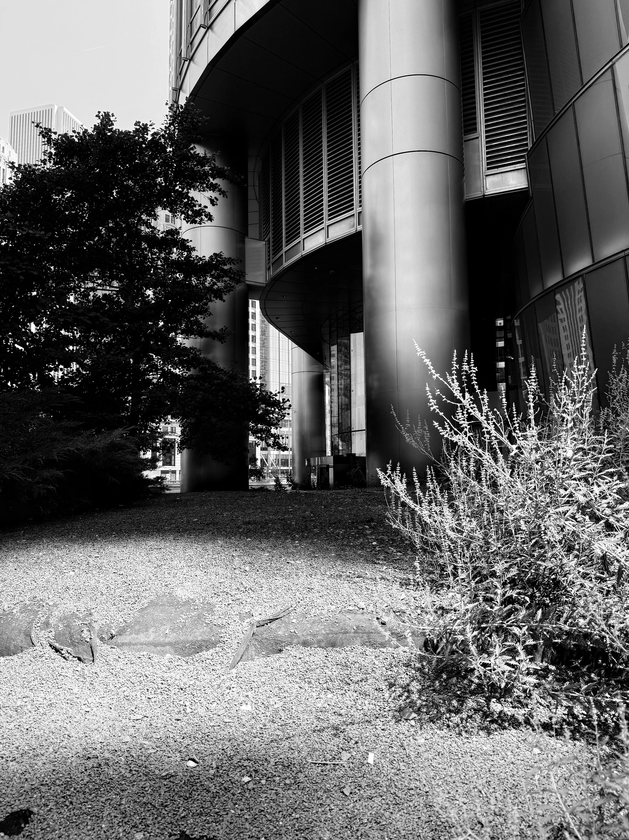 2025_iPhonePhotowalk - 36.jpeg