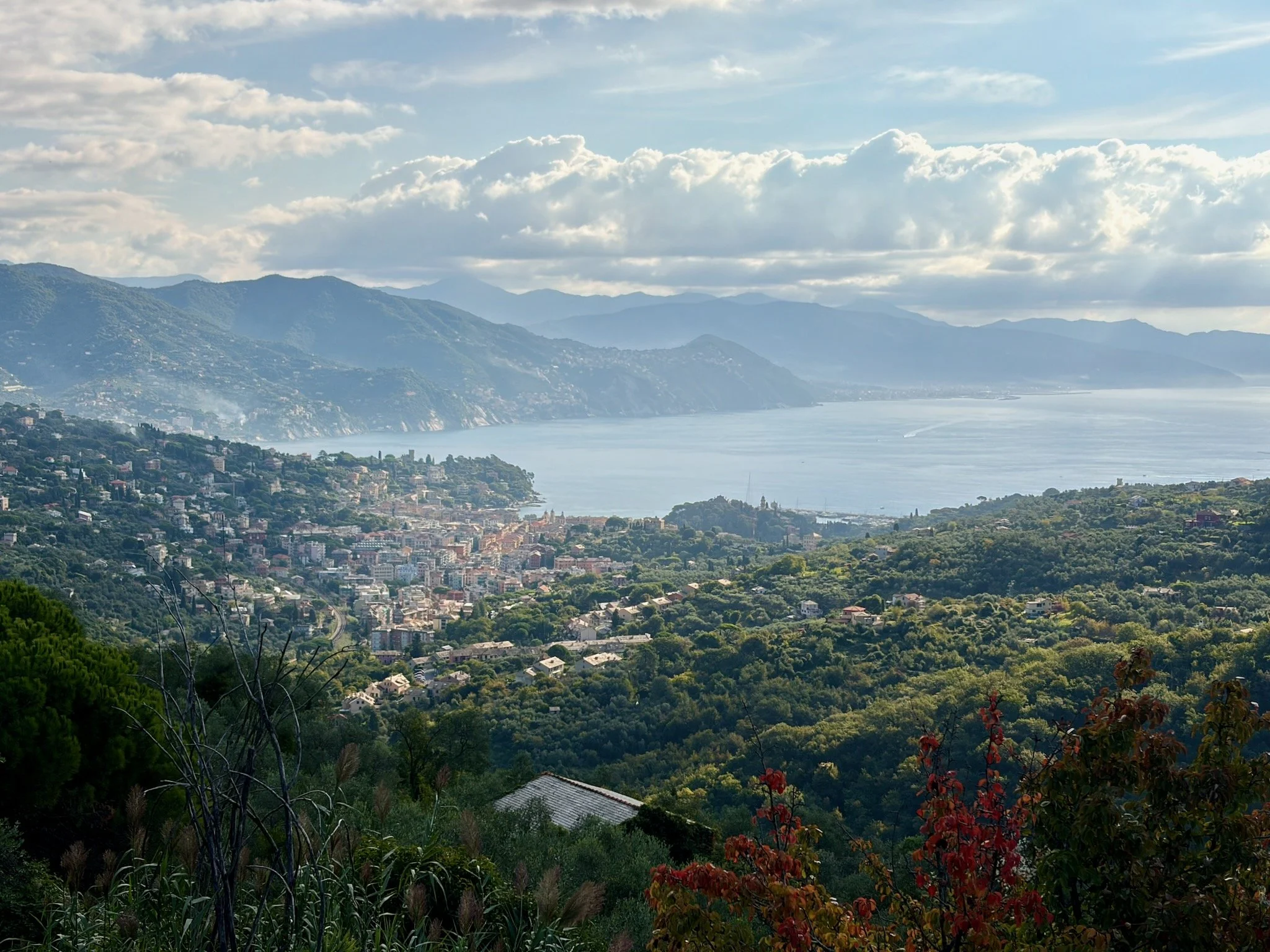 2025_iPhonePhotowalk - 56.jpeg