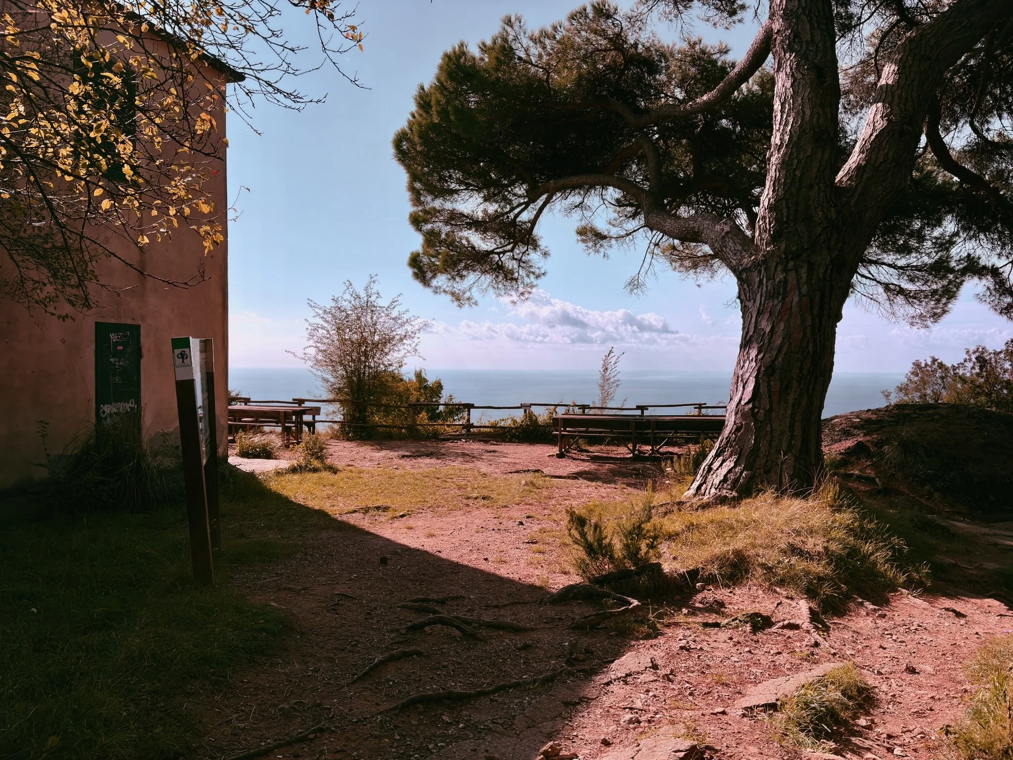 2025_iPhonePhotowalk - 57.jpeg