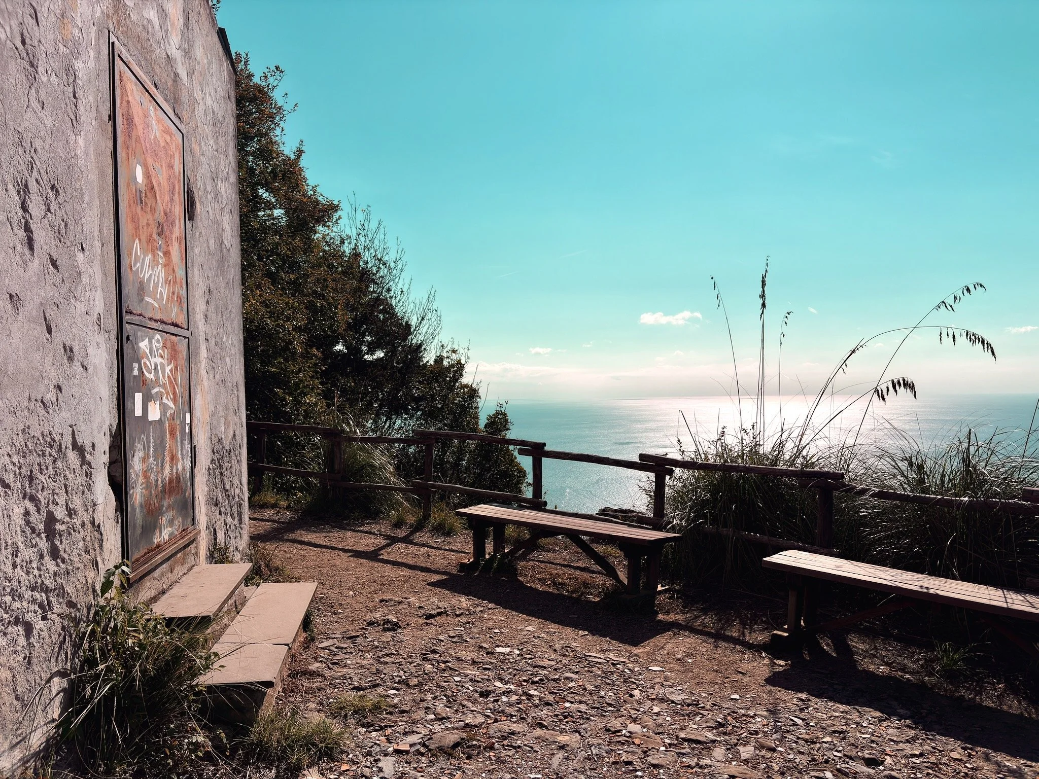 2025_iPhonePhotowalk - 61.jpeg