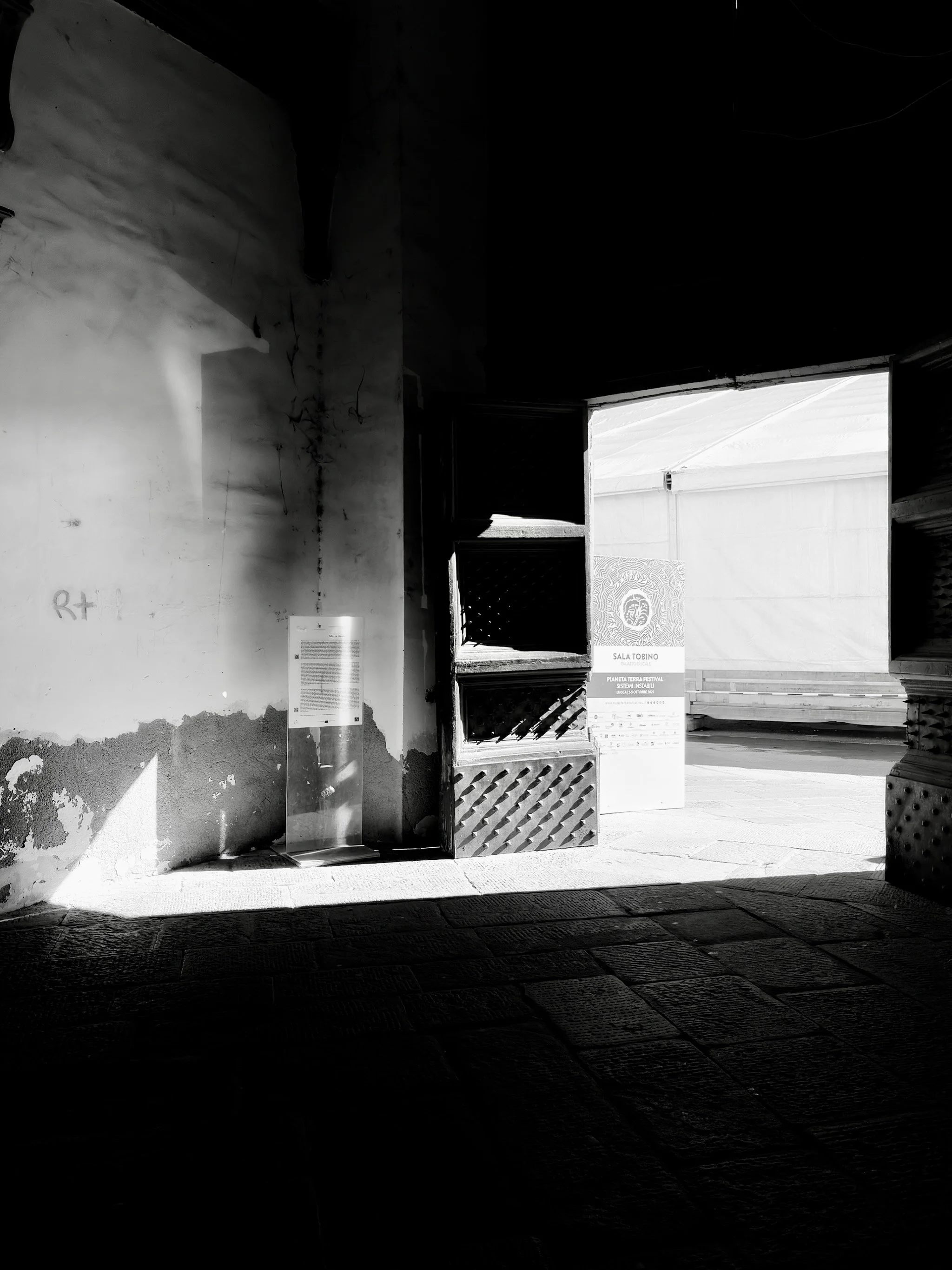 2025_iPhonePhotowalk - 83.jpeg