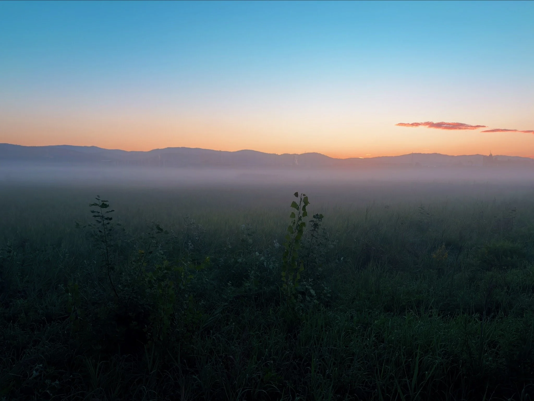 2025_iPhonePhotowalk - 89.jpeg