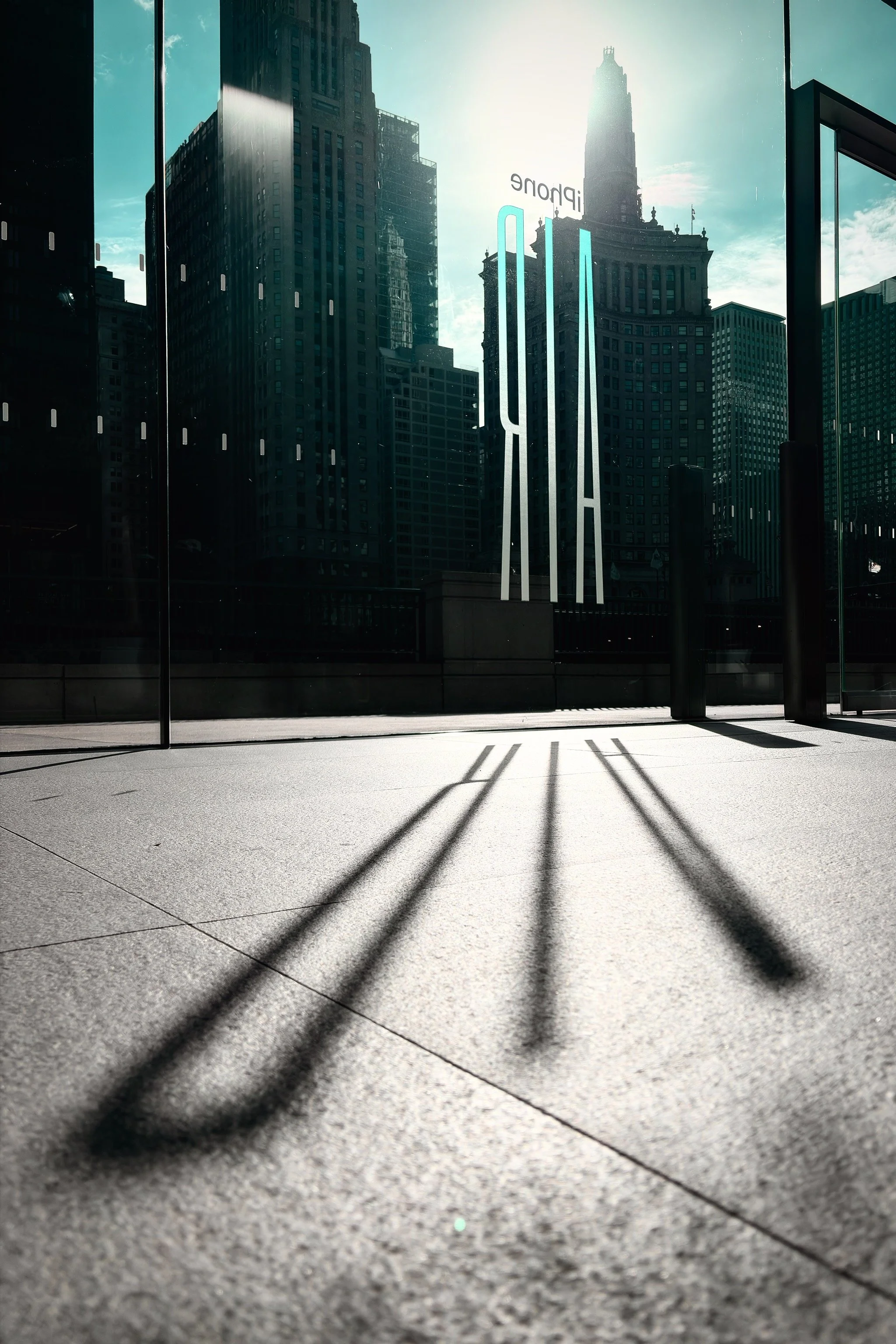 2025_iPhonePhotowalk - 91.jpeg