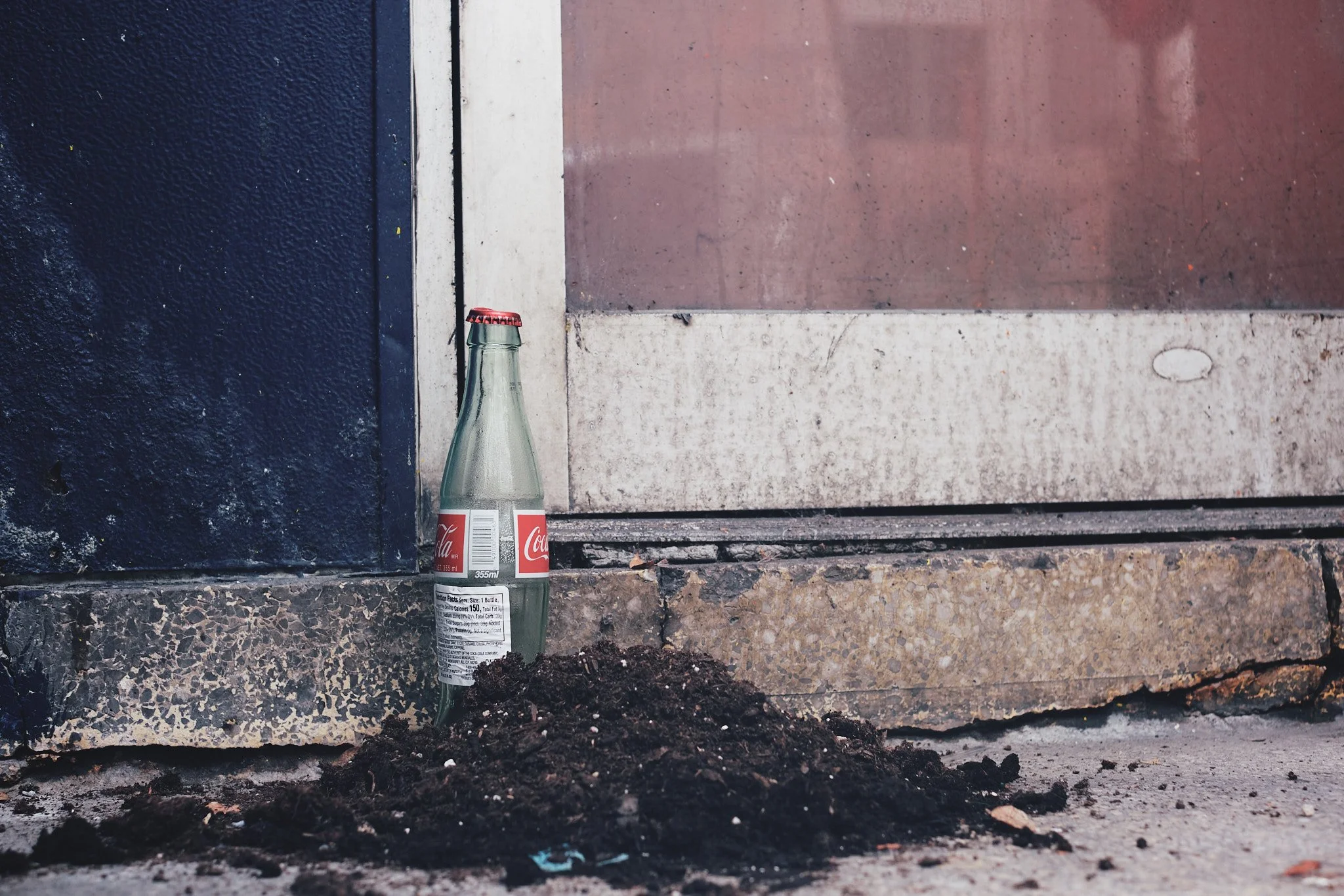 I Wasn't Made to Bloom — Day 224