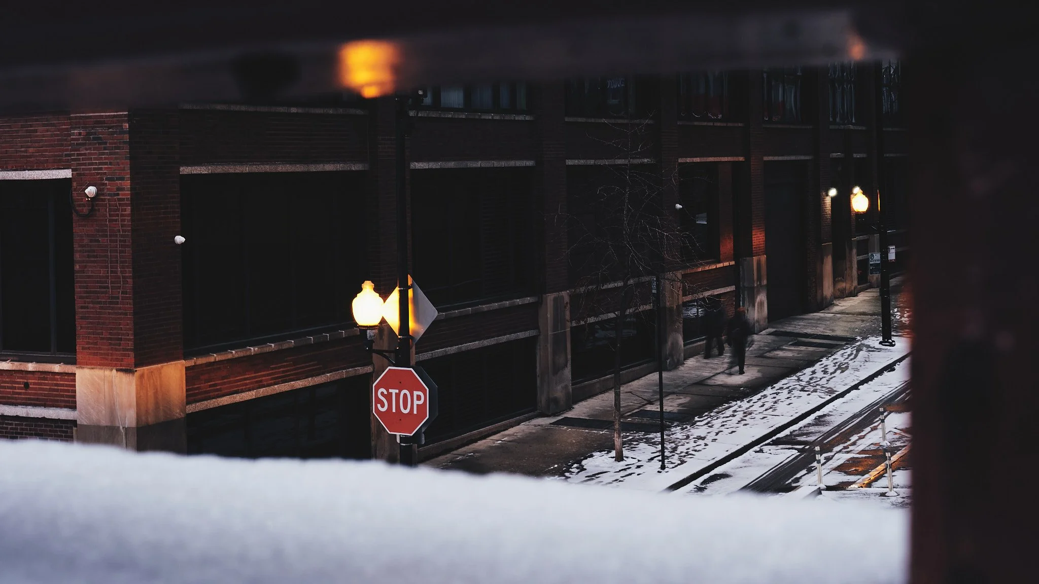 December 31 — Day 365