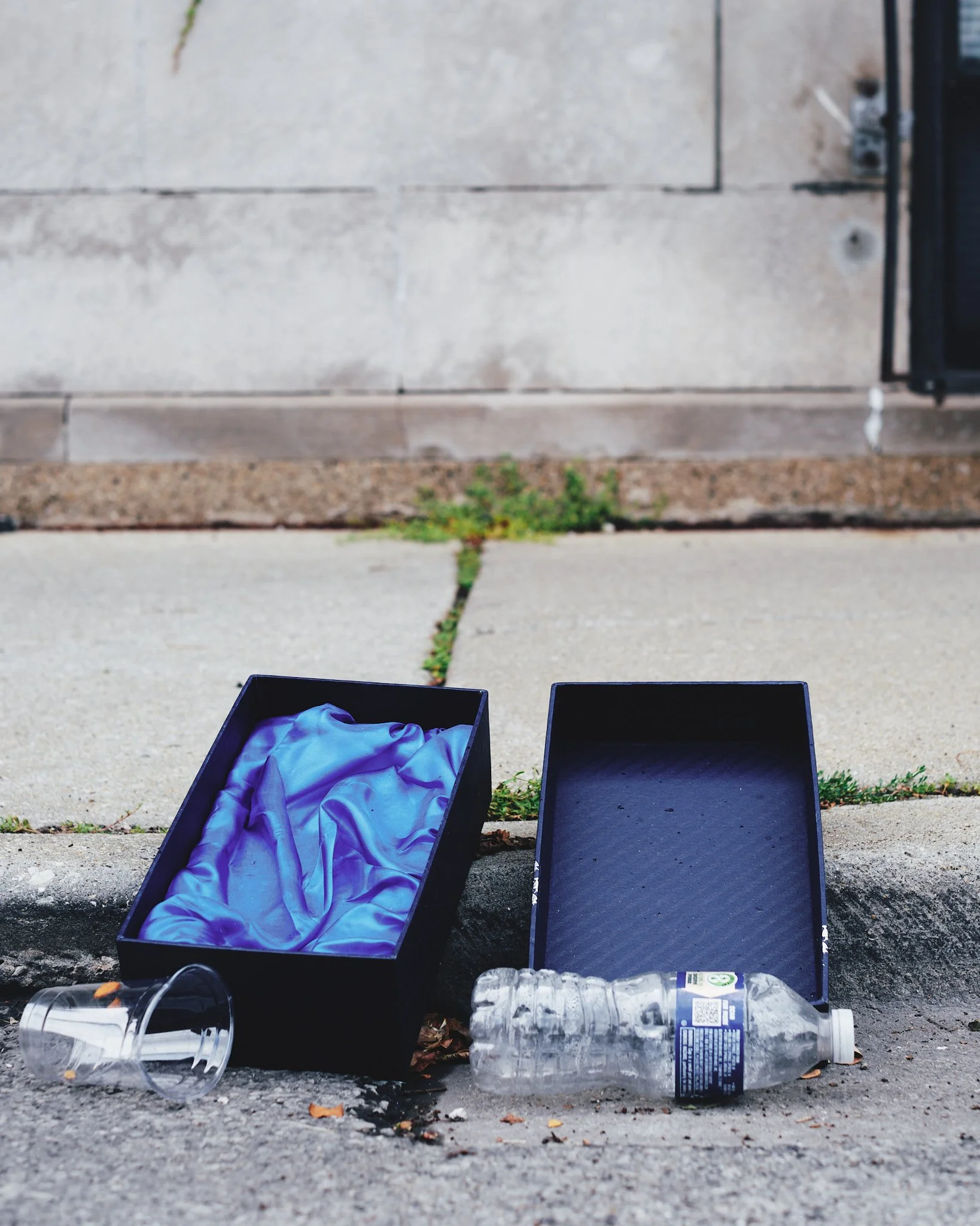 Discarded Yet Kin — Day 230