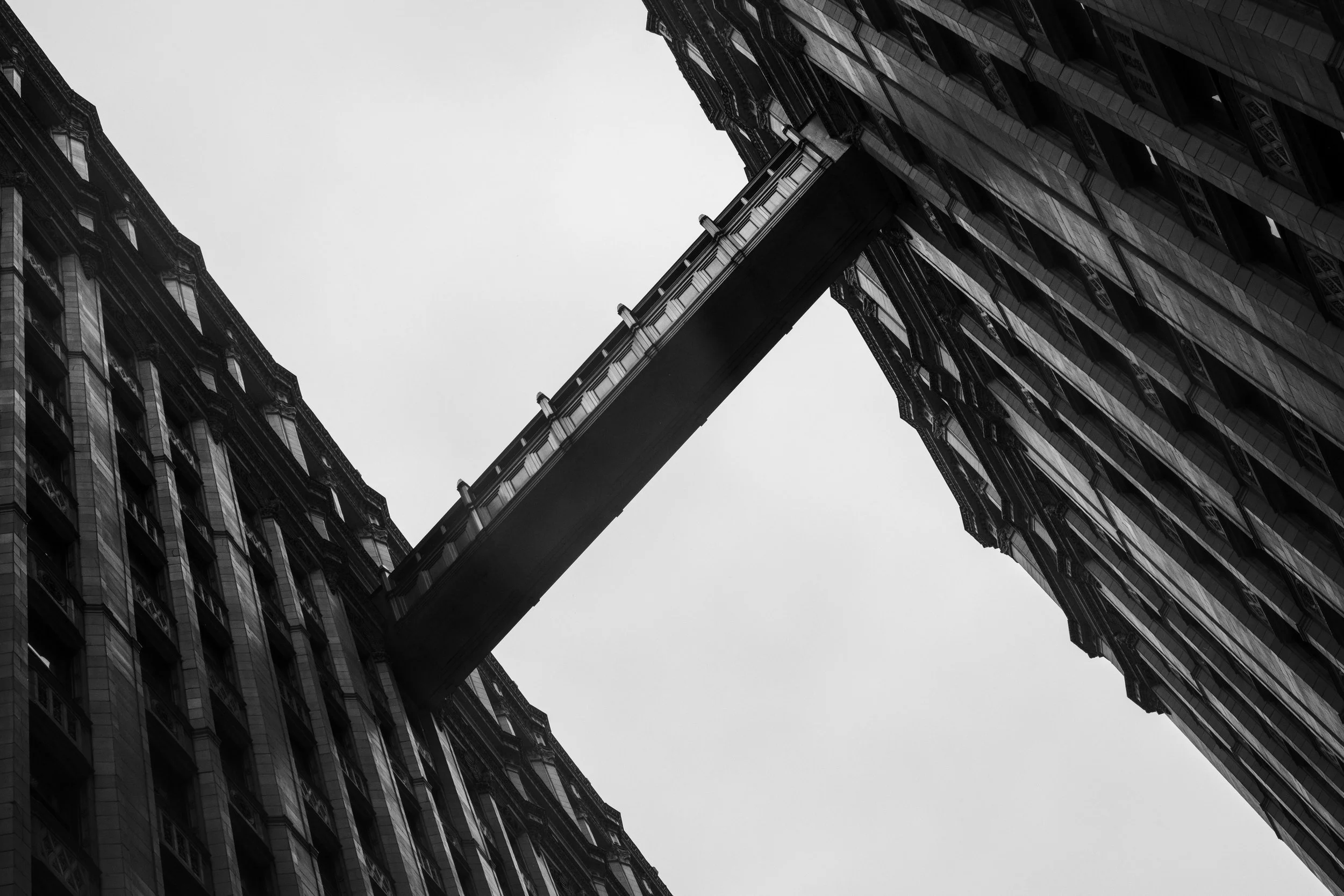 Skybridge — Day 47