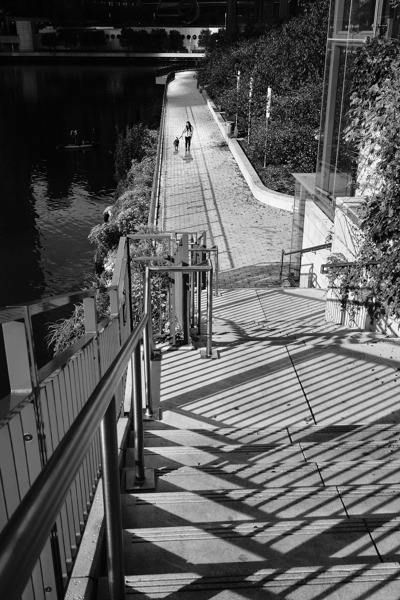 Wolf Point — Day 263