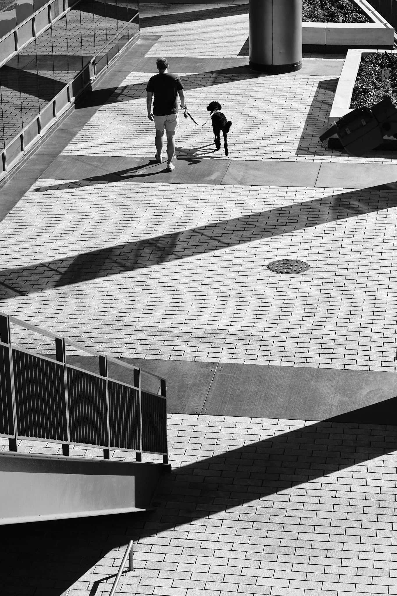 Crossing Shadows — Day 270