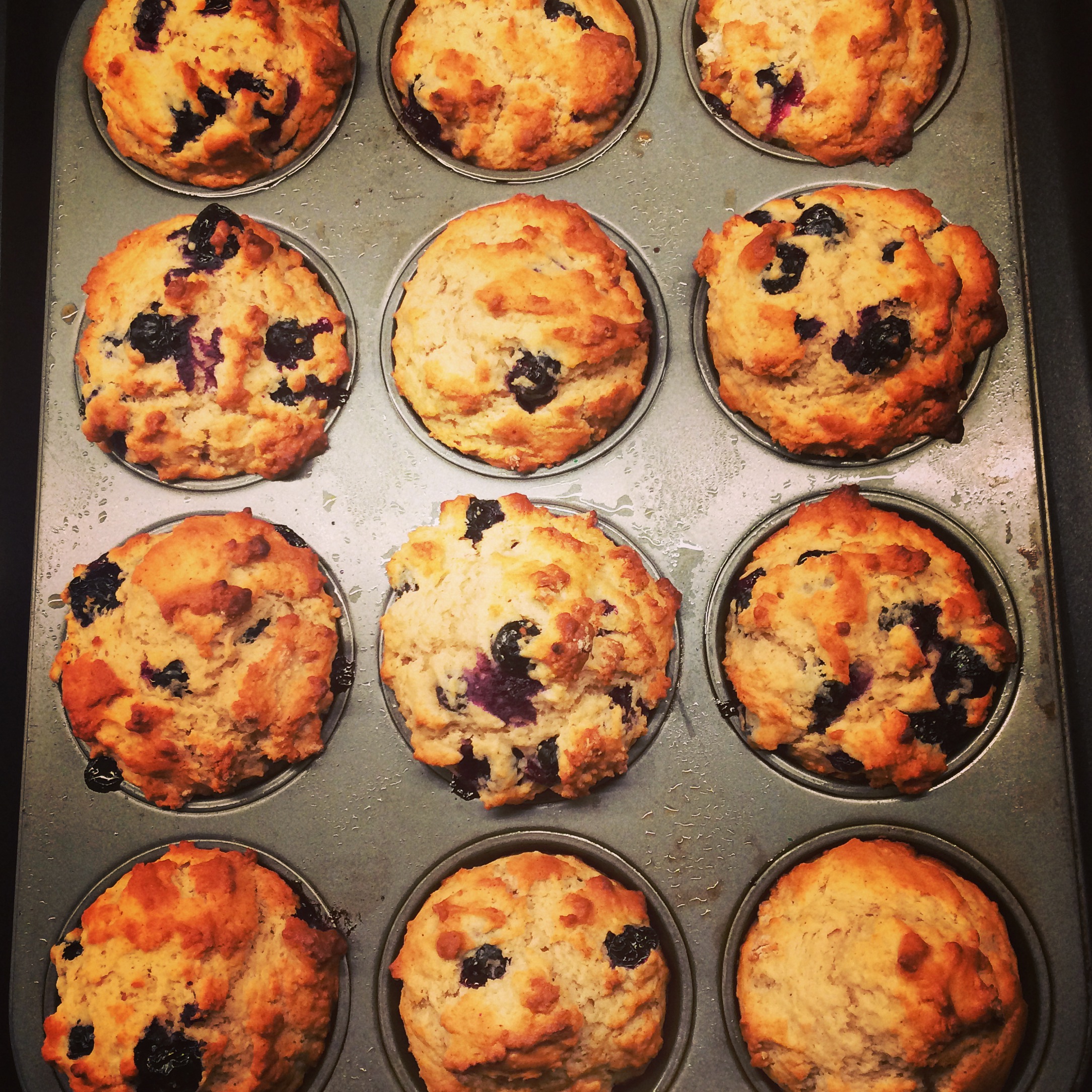Blueberry Muffins