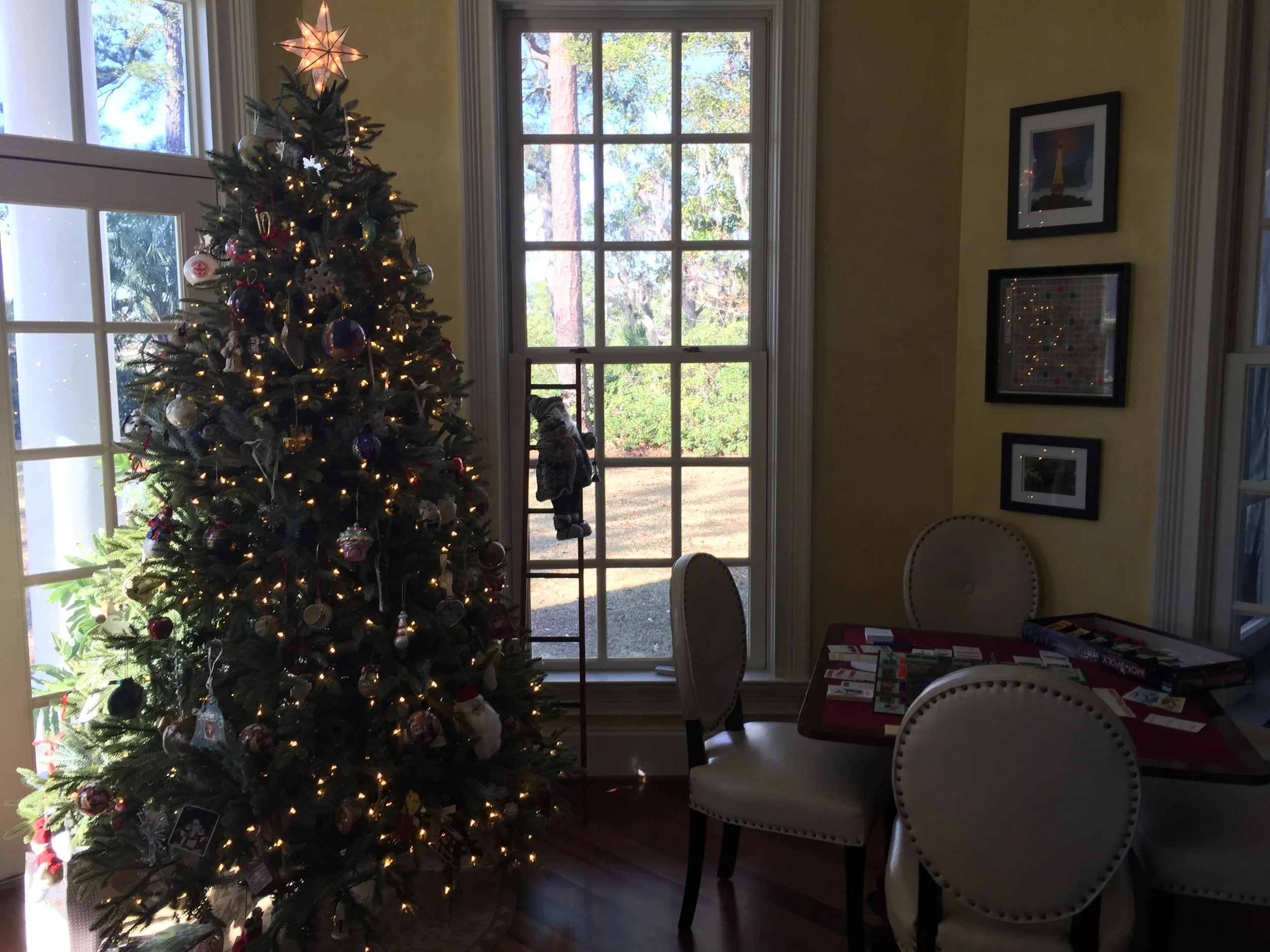 2017: Our First Artificial Tree