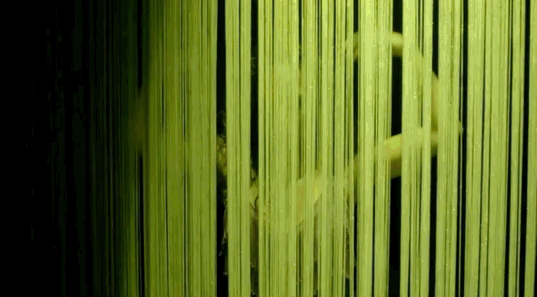 353a5caa-f284-45df-b1cb-be583ee6e8b1.gif