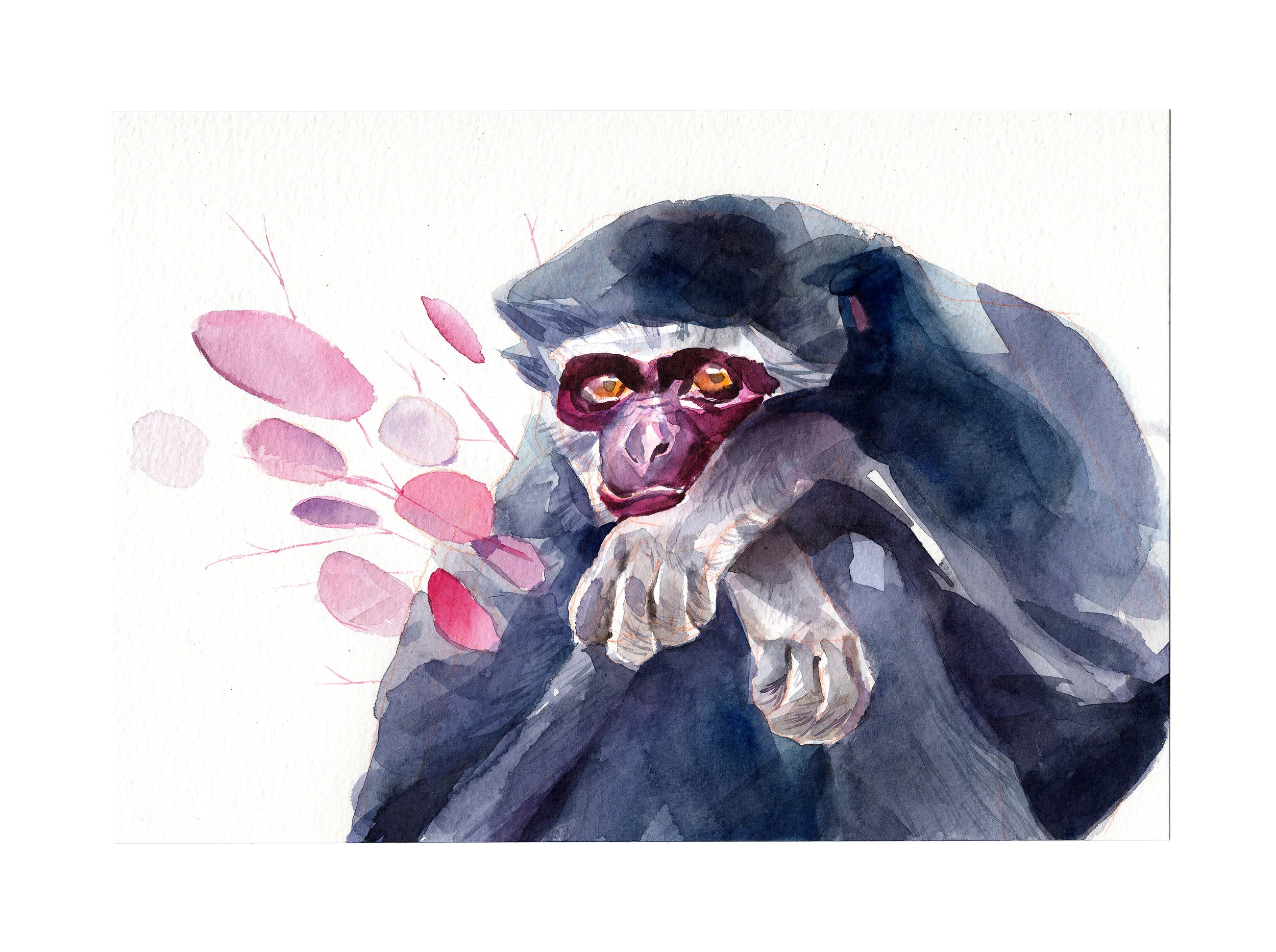 monk.jpg